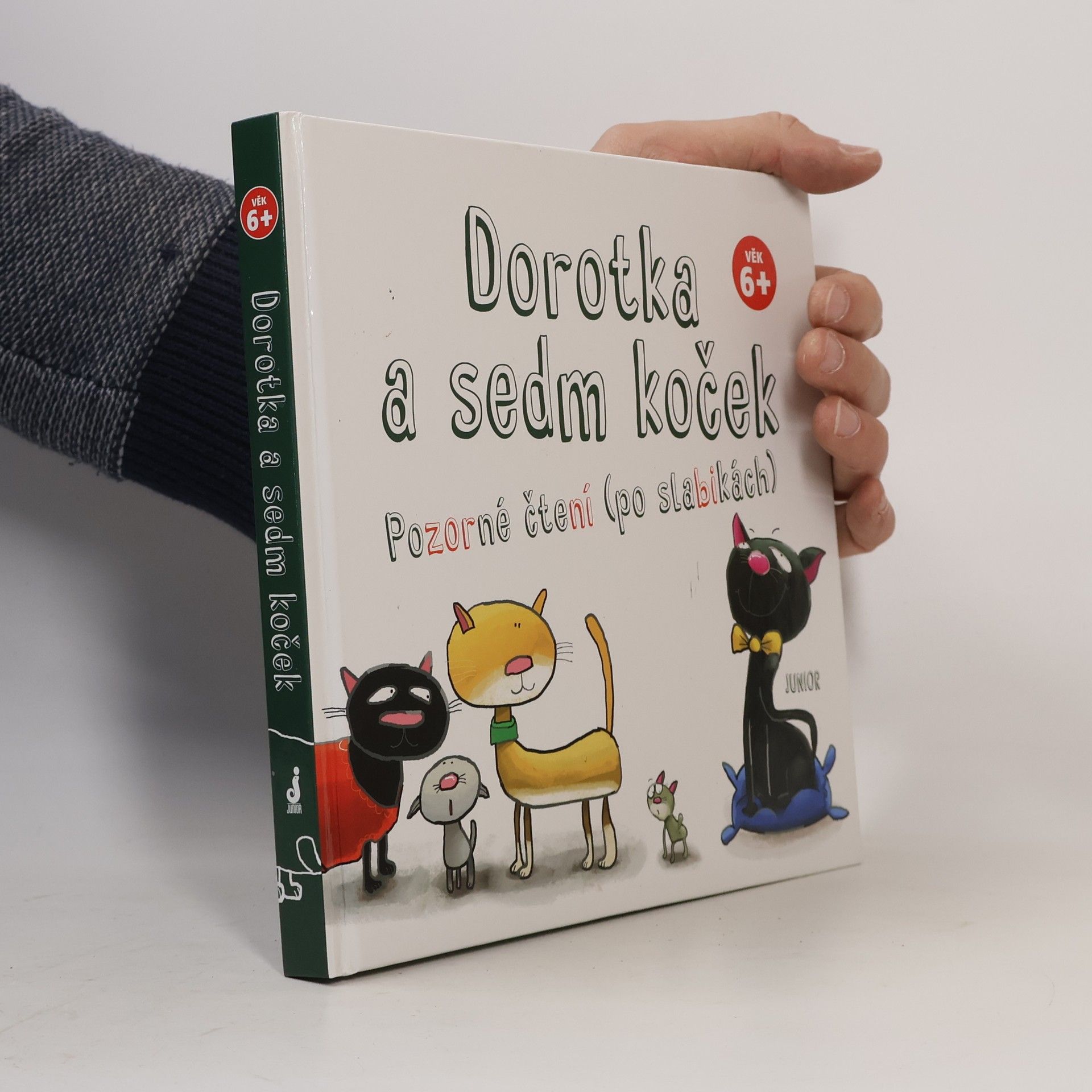 Zenon Wiewiurka Dorotka a sedm koček : pozorné čtení (po slabikách)