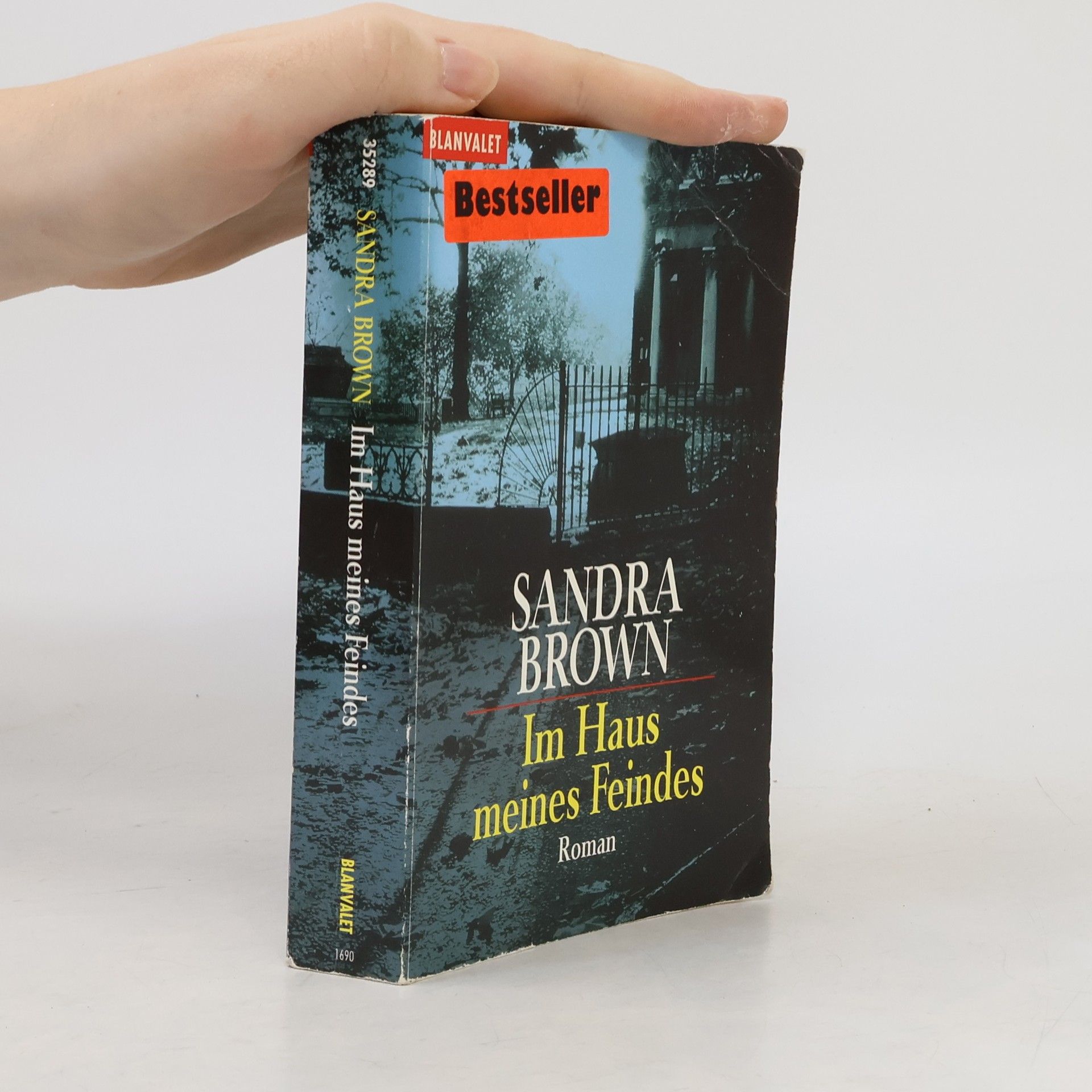 Sandra Brown Im Haus meines Feindes
