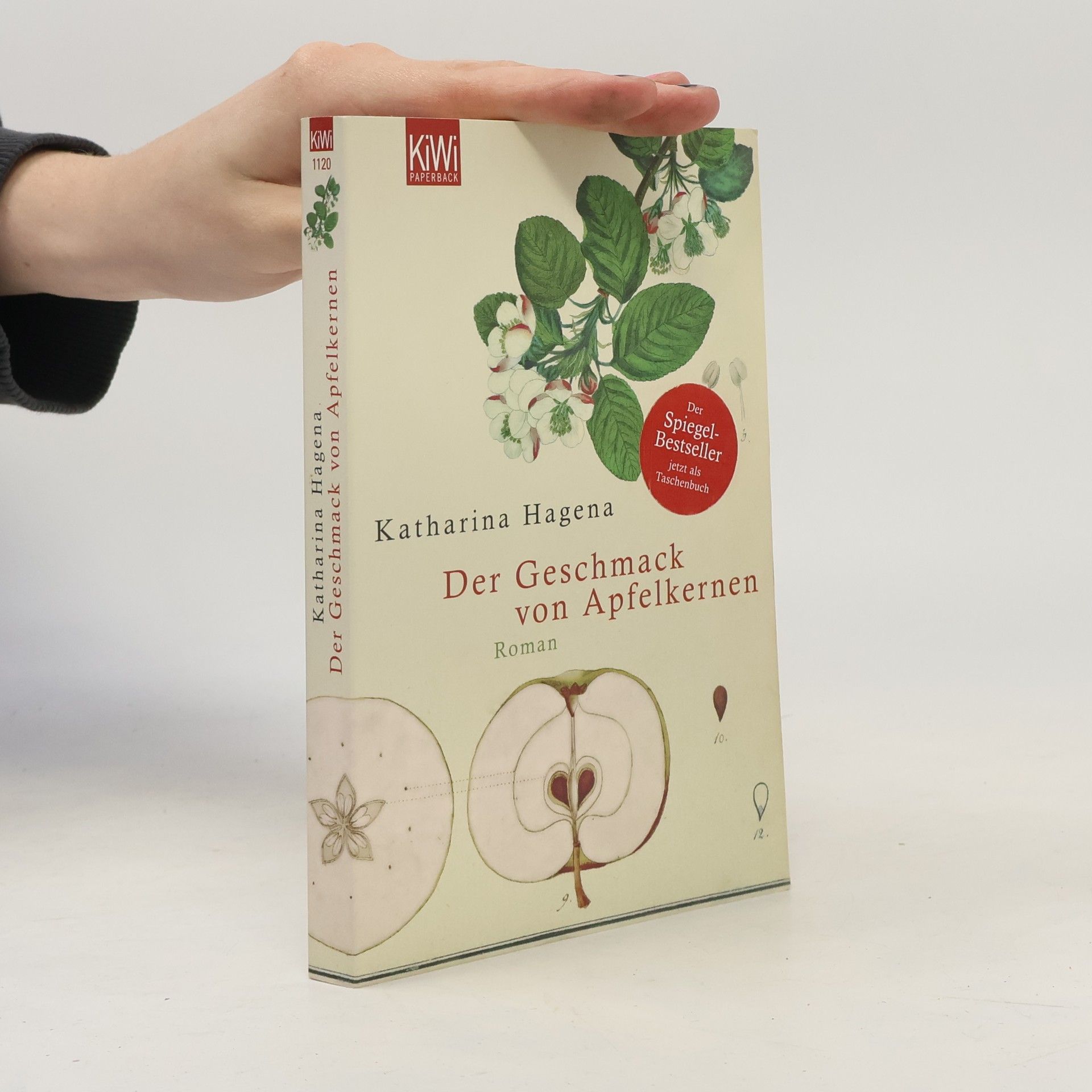 Katharina Hagena Der Geschmack von Apfelkernen