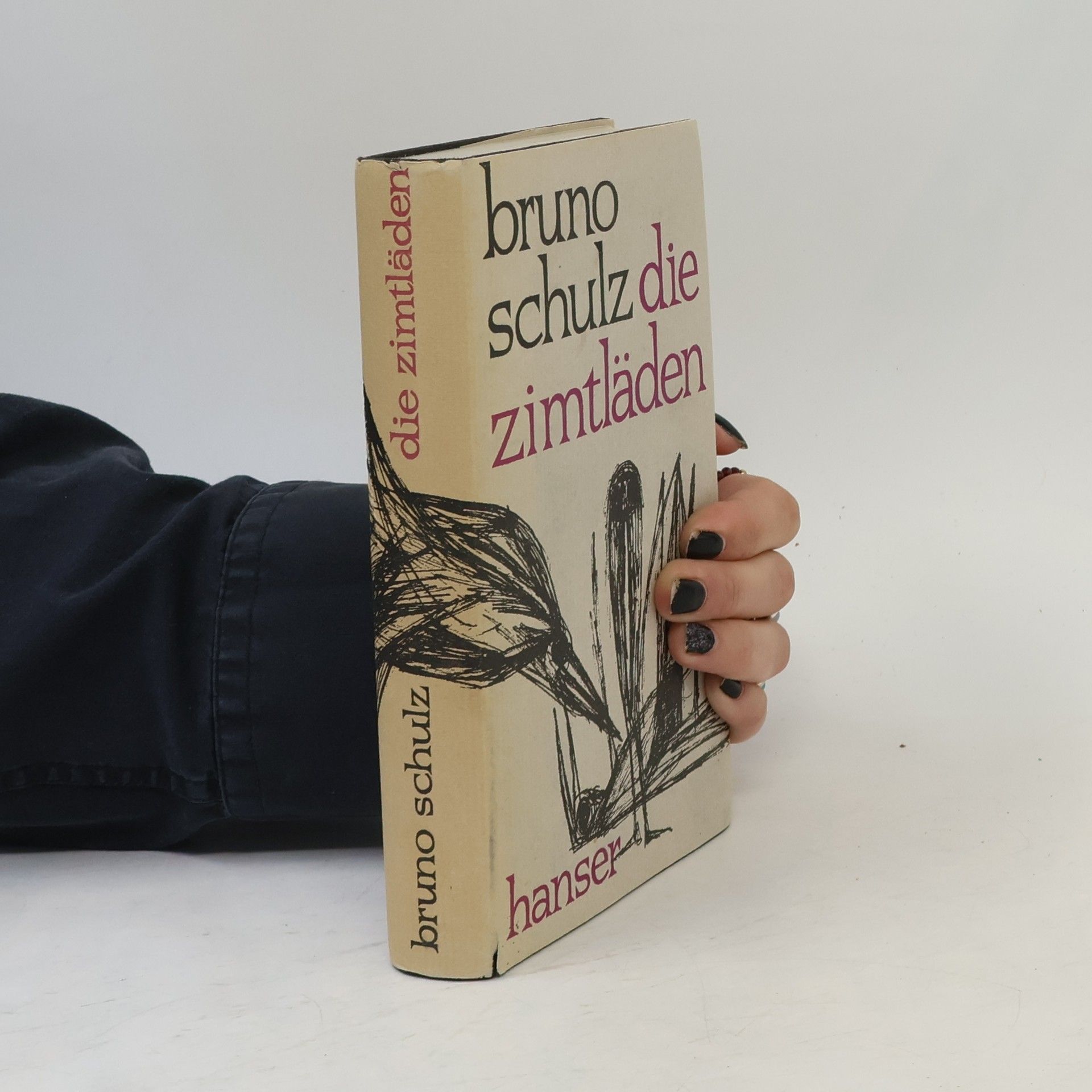 Bruno Schulz Die Zimtläden