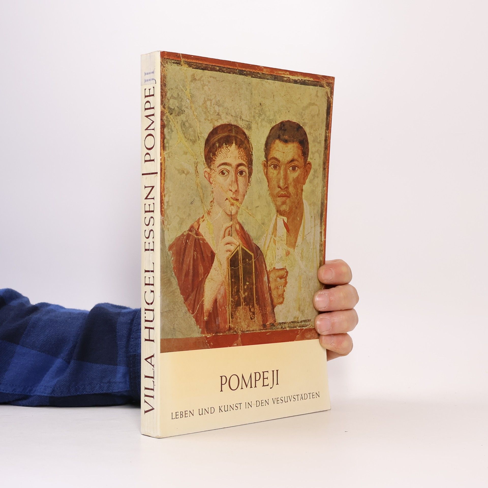 Bernard Andreae Pompeji: Leben und Kunst in den Vesuvstädten