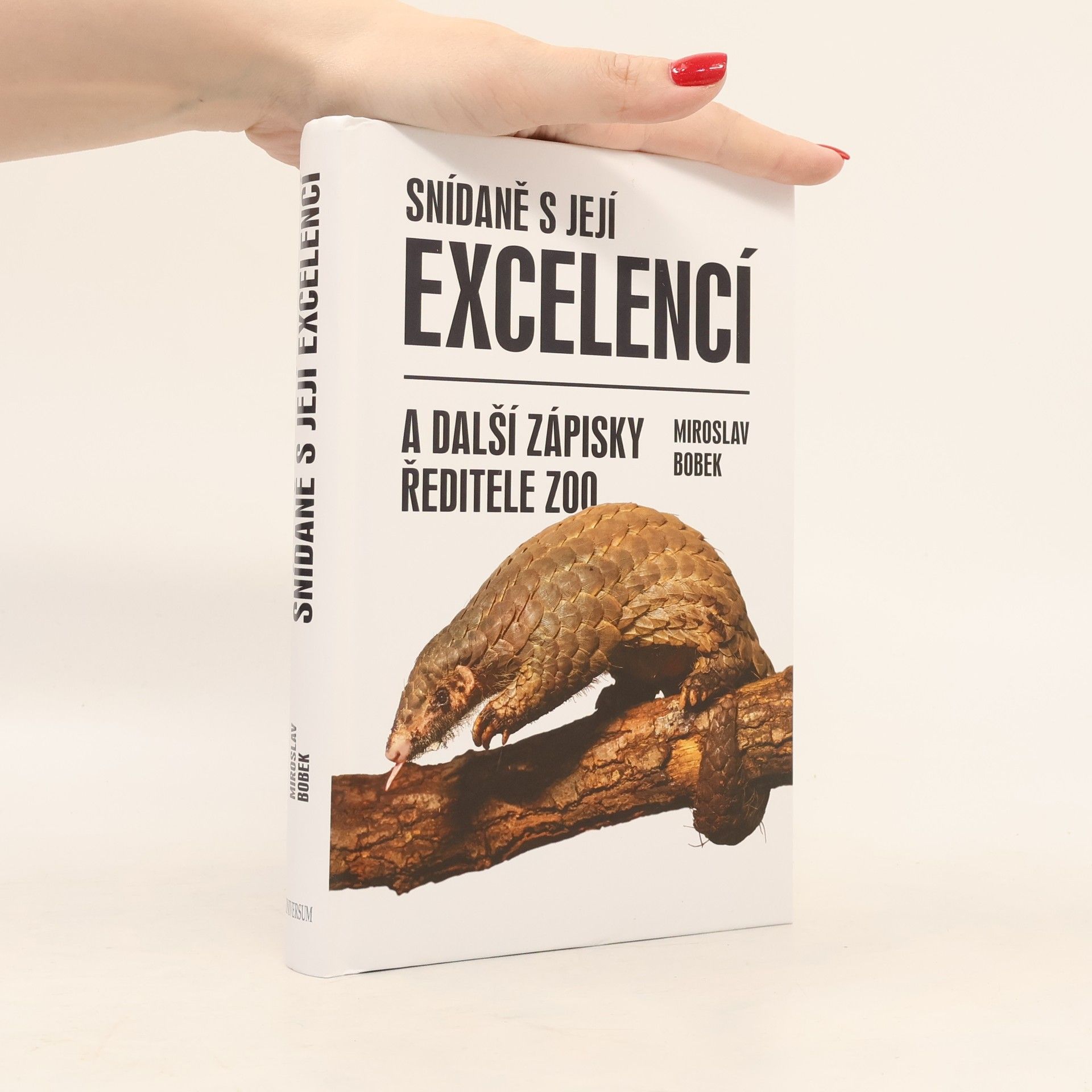 Miroslav Bobek Snídaně s její excelencí