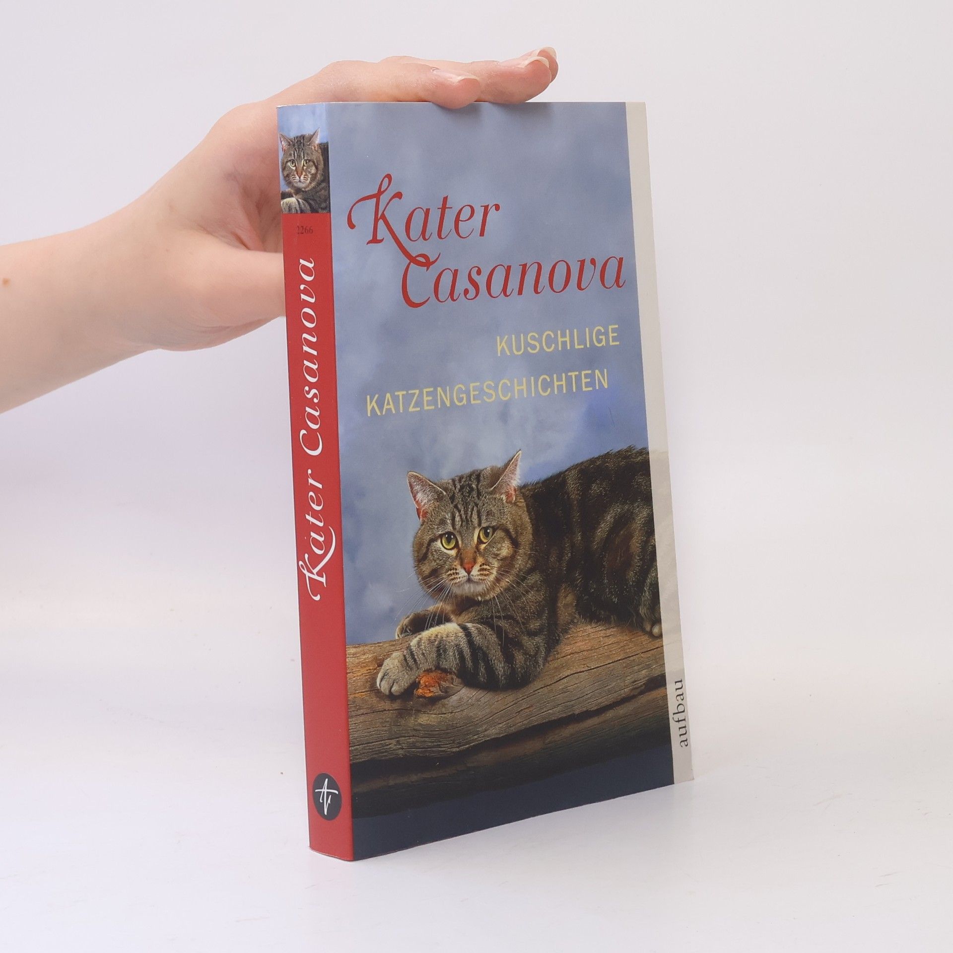 Margit Bräuer Kater Casanova