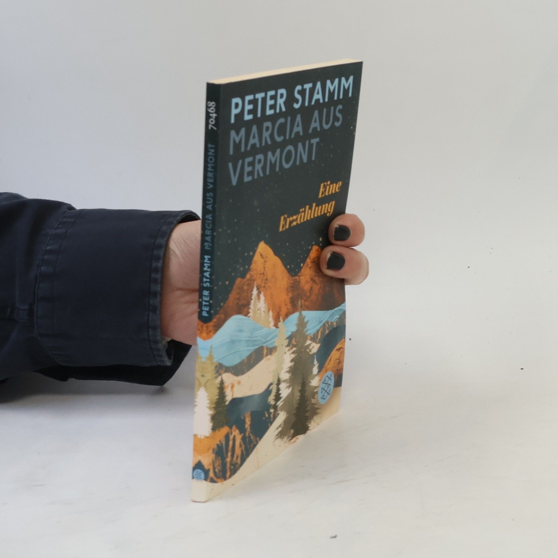 Peter Stamm Marcia aus Vermont