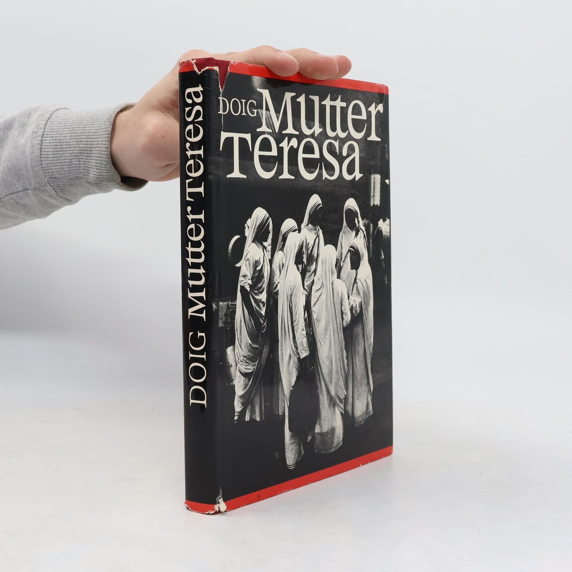 Desmond Doig Mutter Teresa