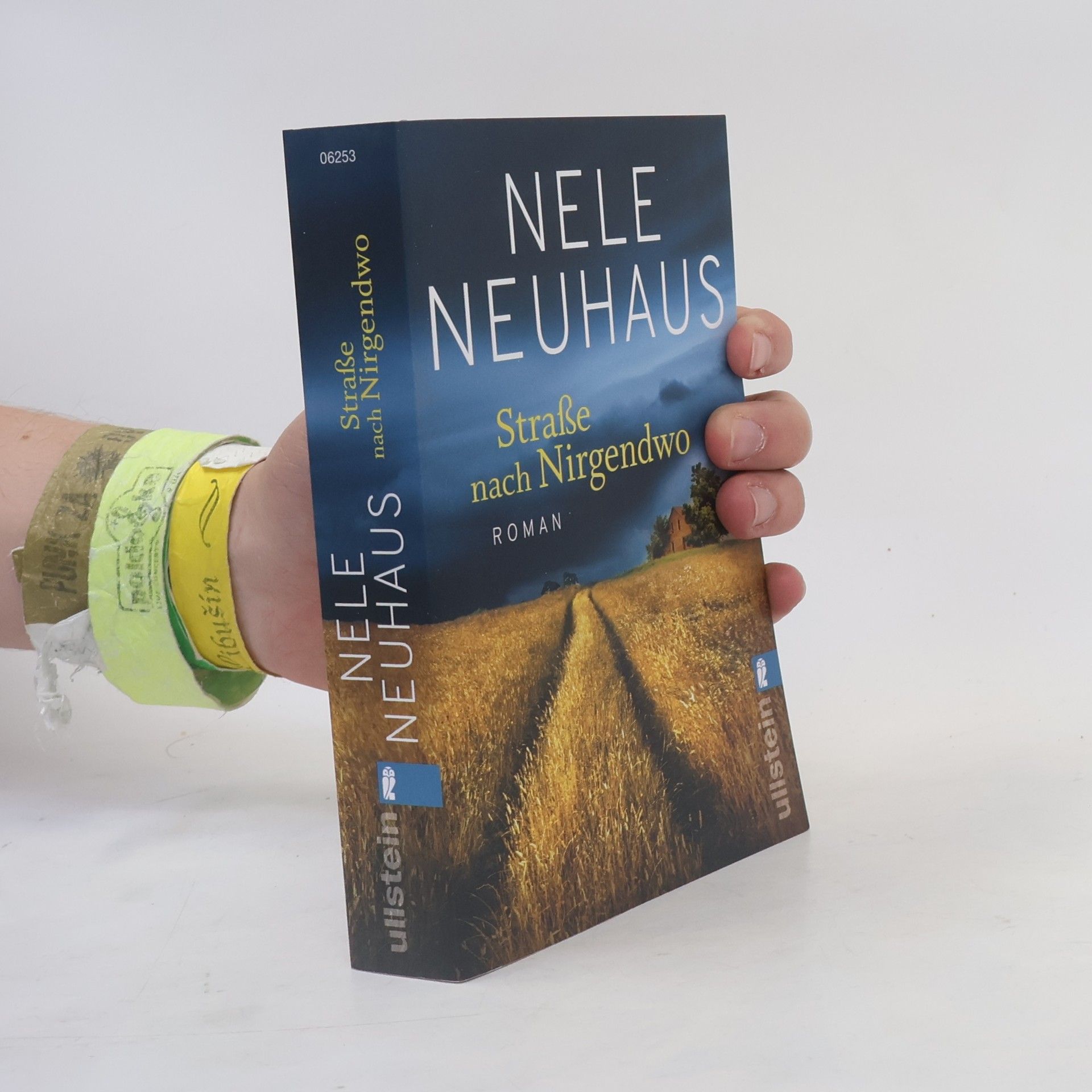 Nele Neuhaus Straße nach Nirgendwo