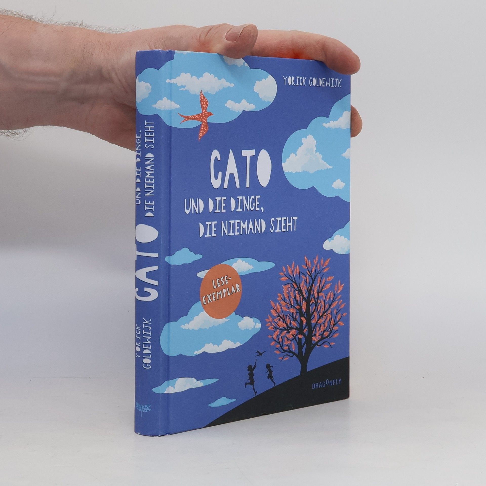 Yorick Goldewijk Cato und die Dinge, die niemand sieht