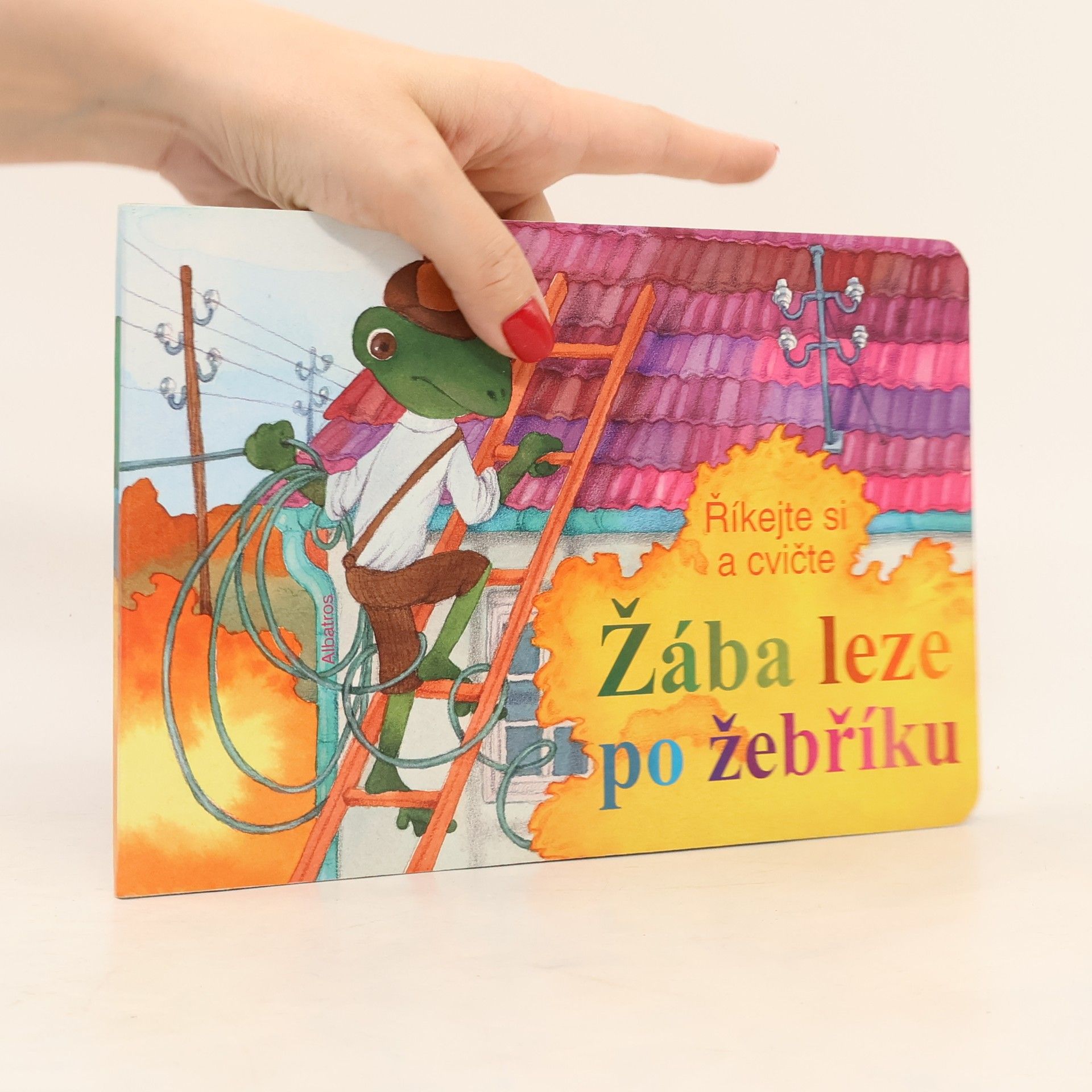 AA.VV. Žába leze po žebříku