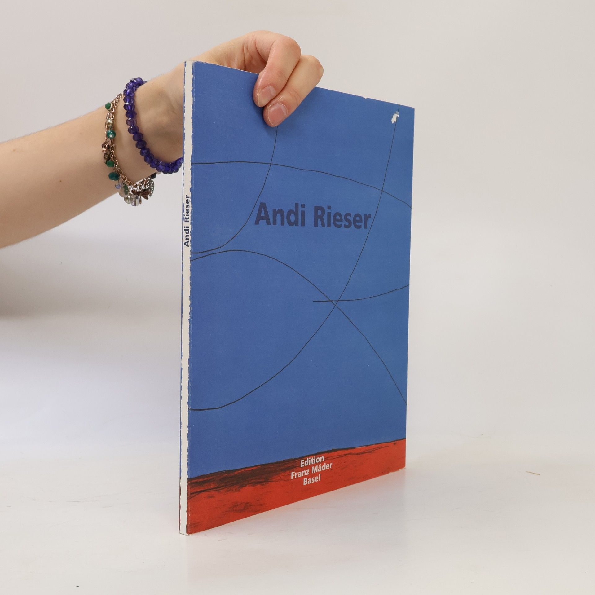 Kolektiv autorů Andi Rieser