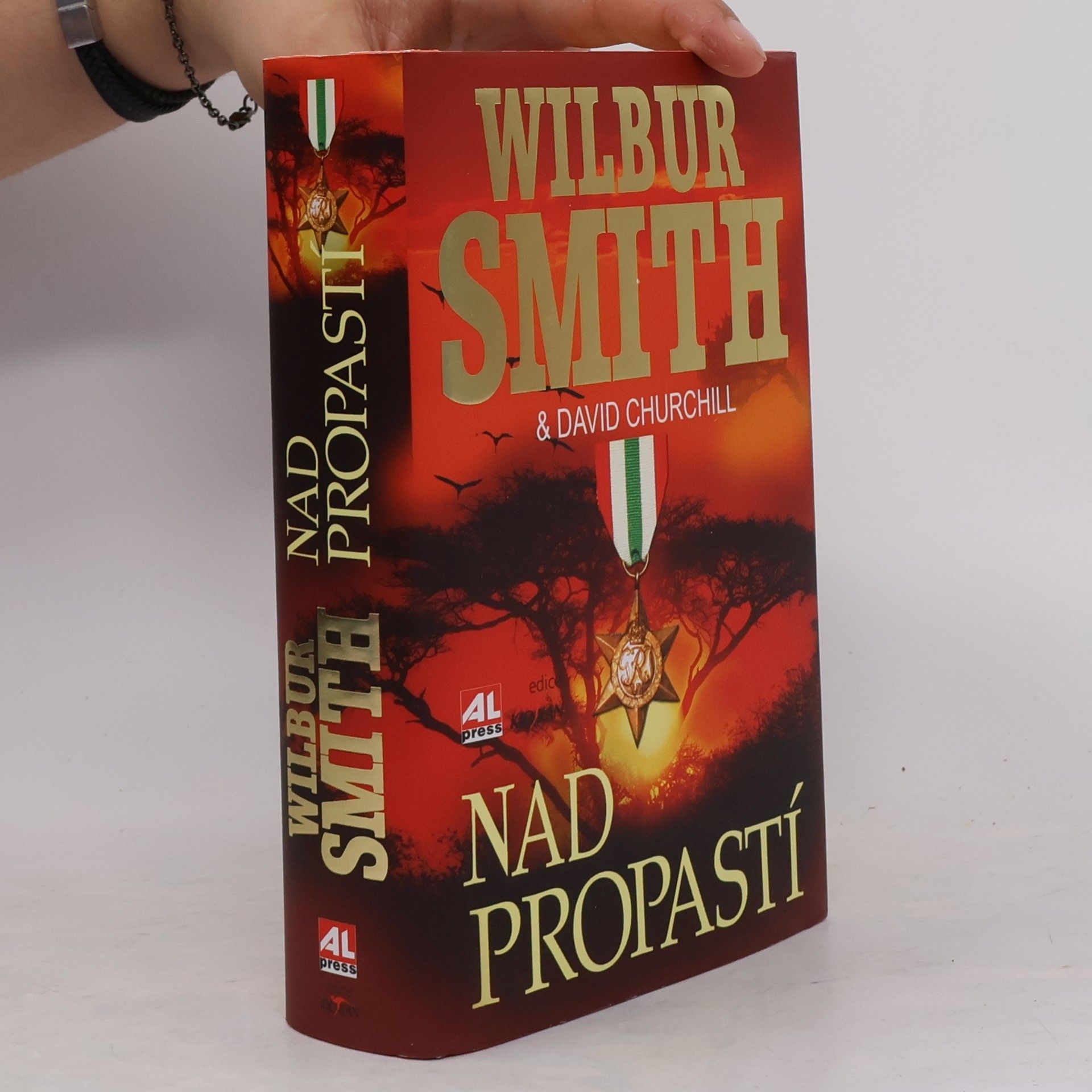 Wilbur A. Smith Nad propastí