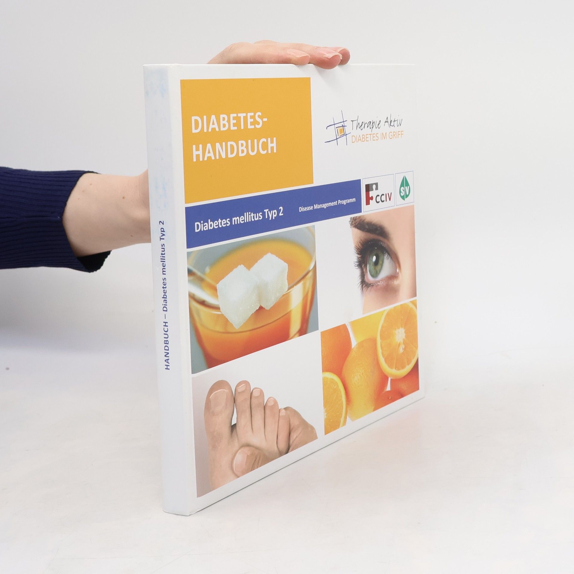 Kolektiv autorů Diabetes-Handbuch. Diabetes Mellitus Typ 2