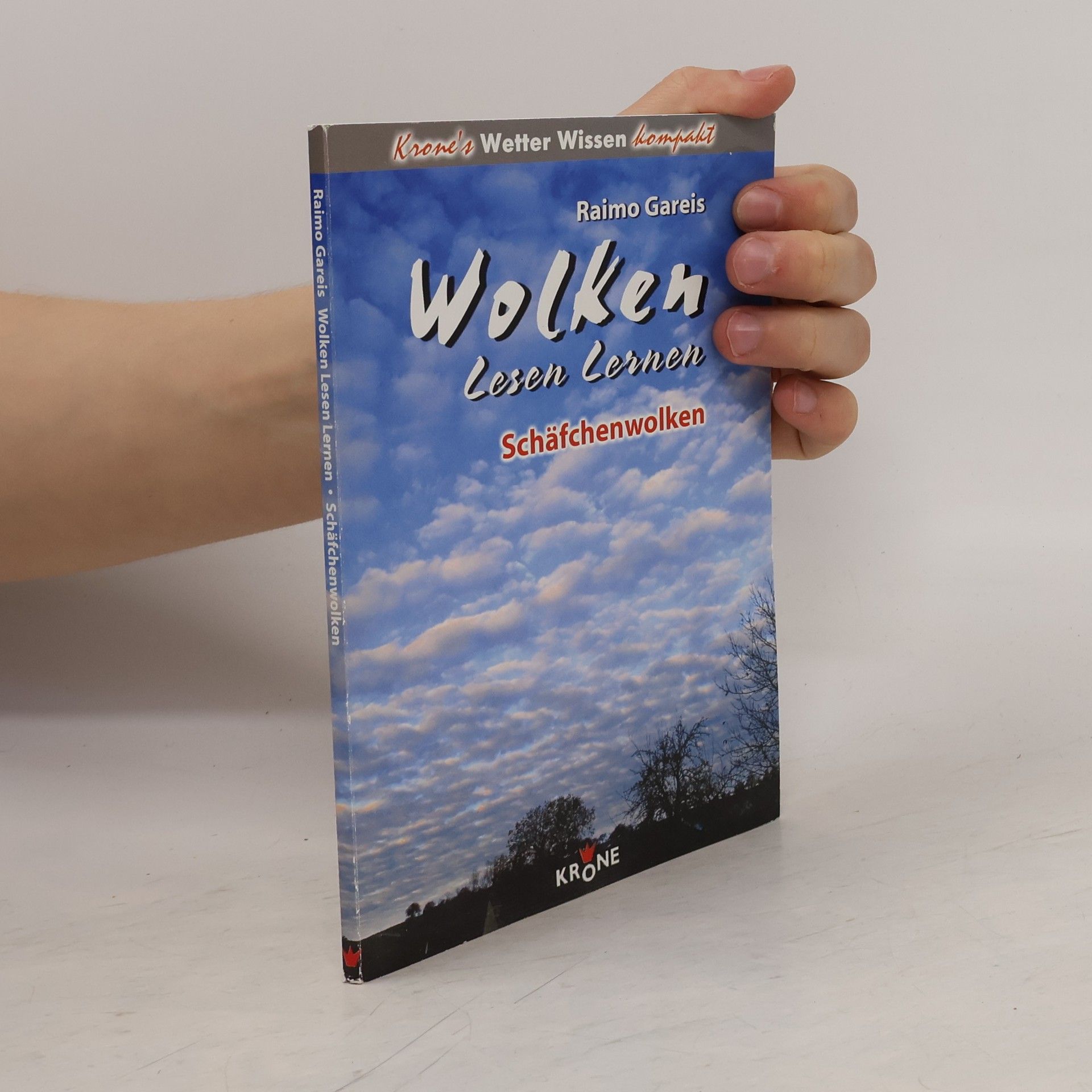 Raimo Gareis Wolken lesen lernen