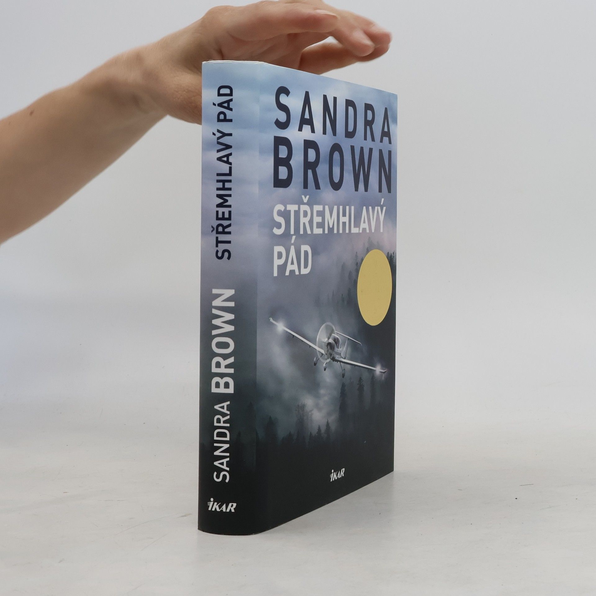Sandra Brown Střemhlavý pád