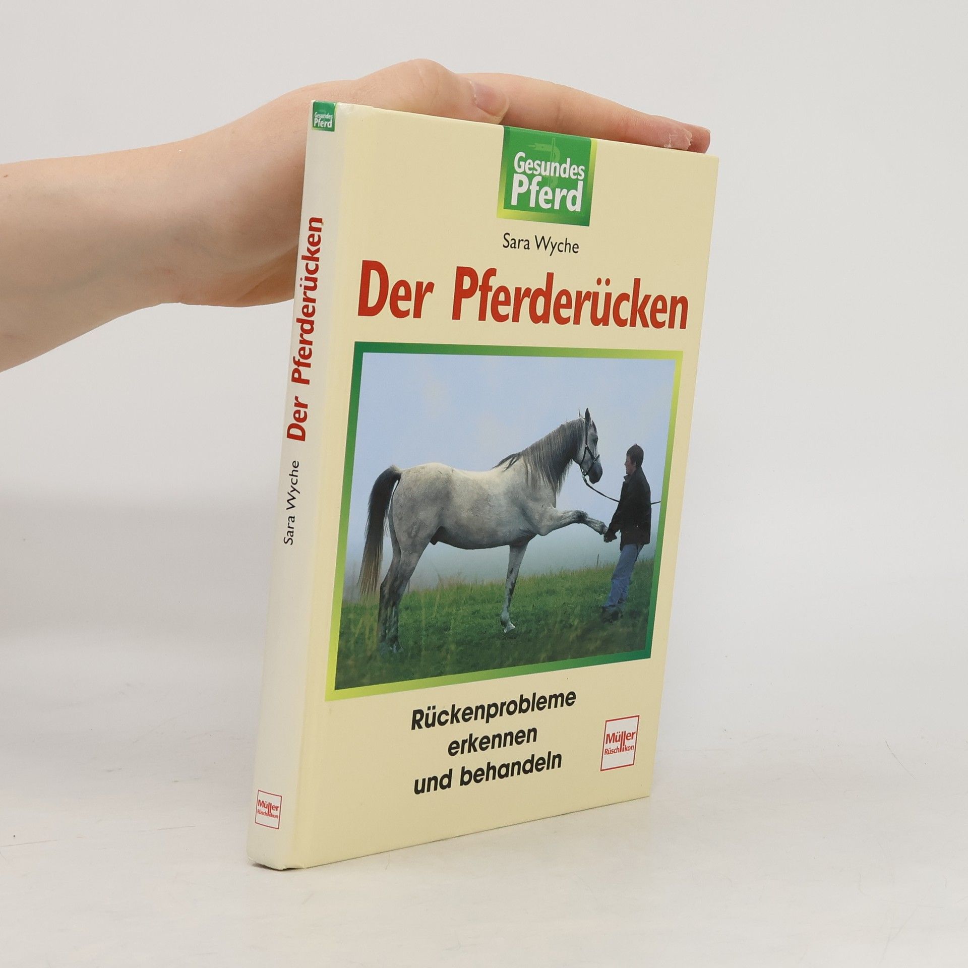 Sara Wyche Der Pferderücken