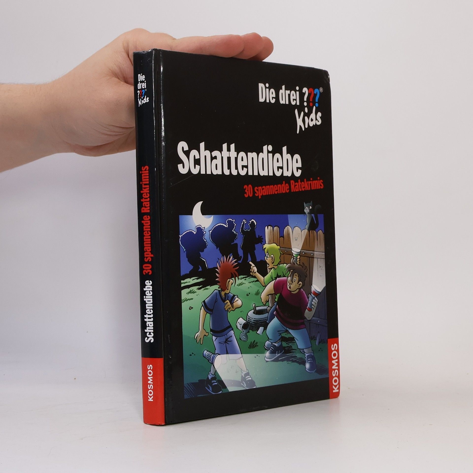 Stefanie Wegner Die drei ??? - Kids - Schattendiebe