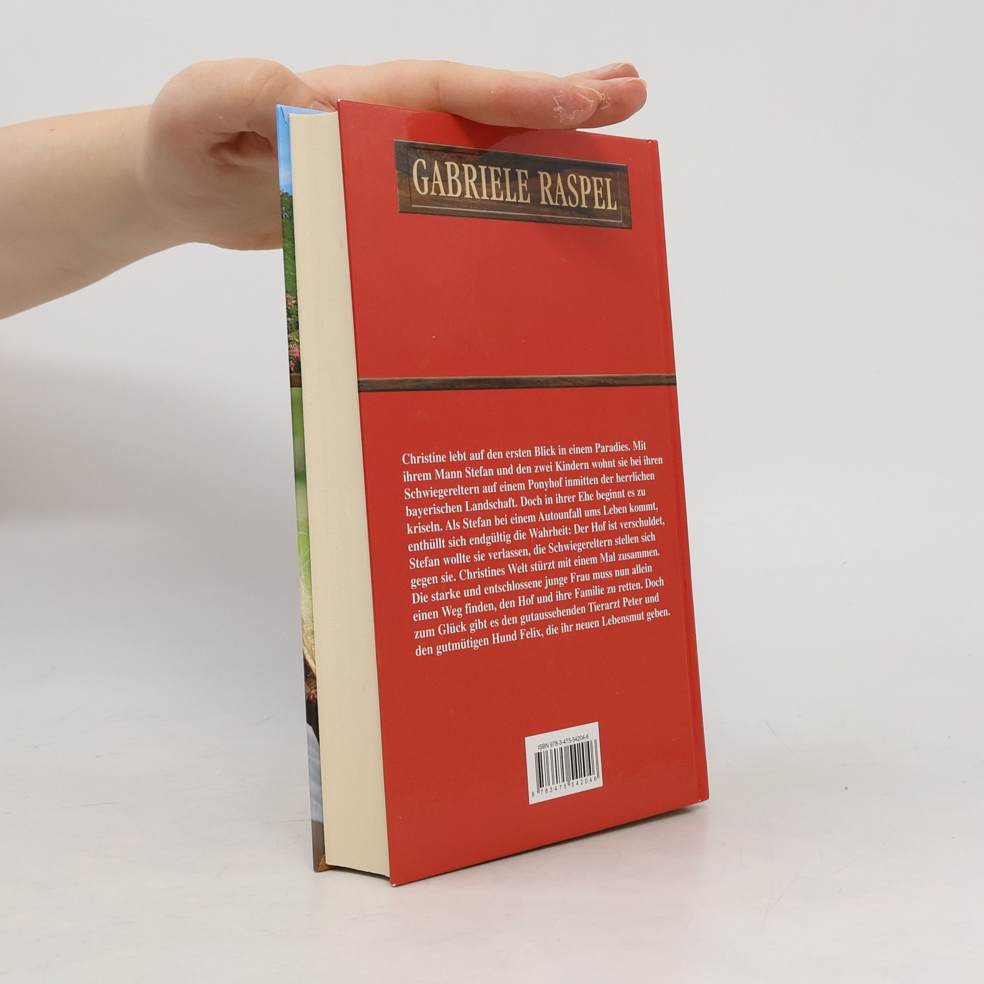 Gabriele Raspel Wenn der Almrausch blüht