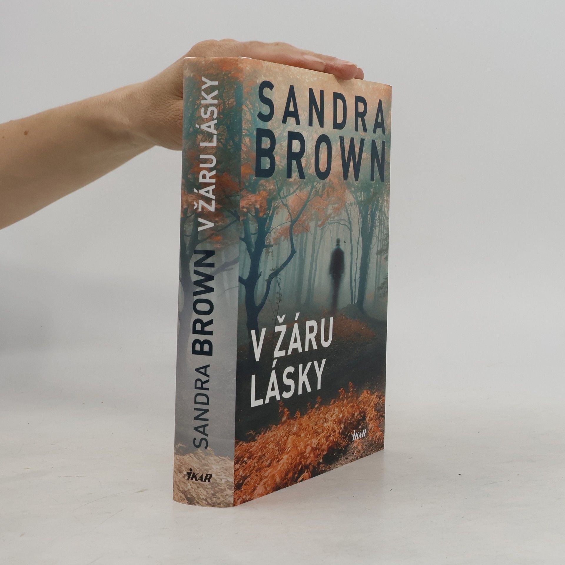 Sandra Brown V žáru lásky