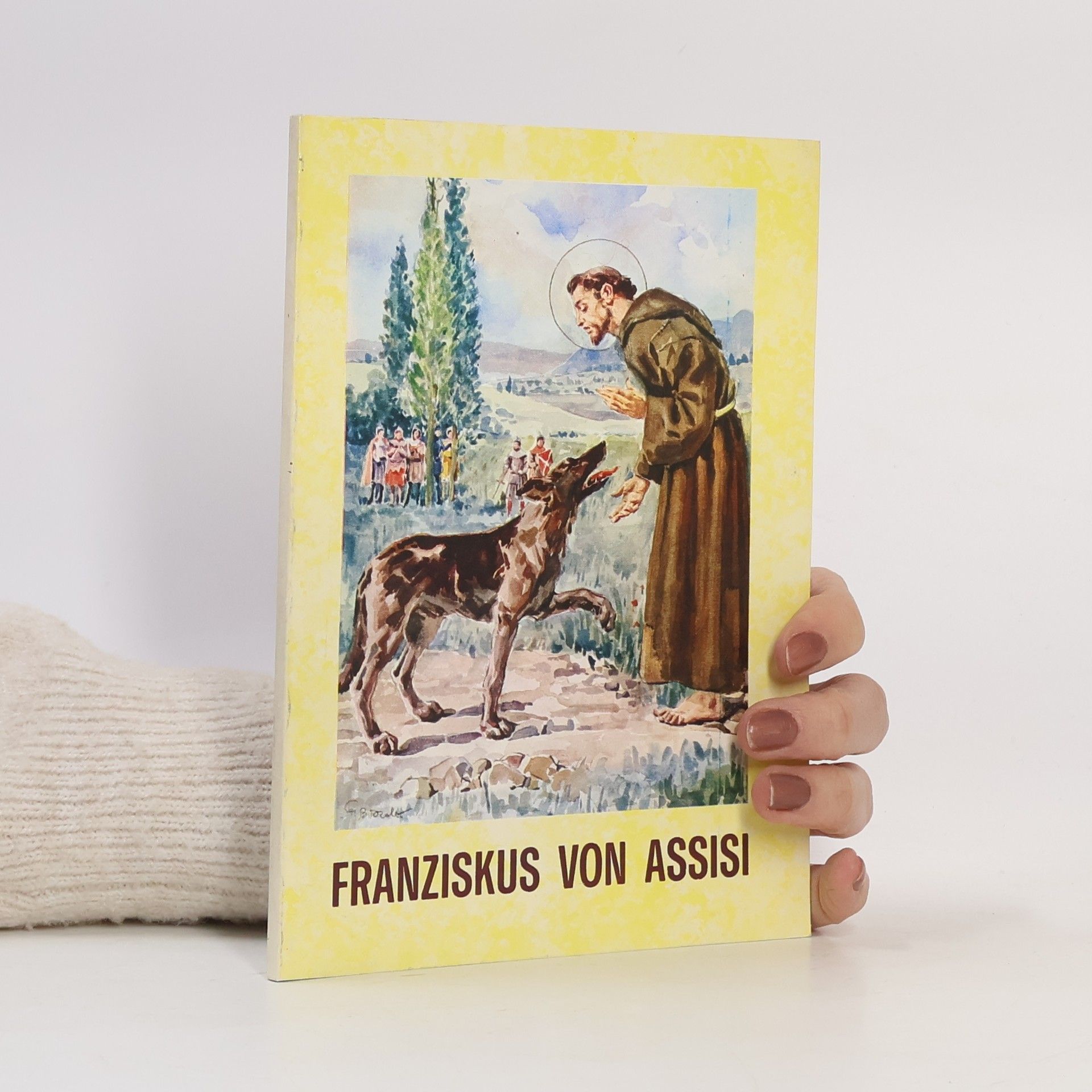 Kolektiv autorů Franziskus von Assisi