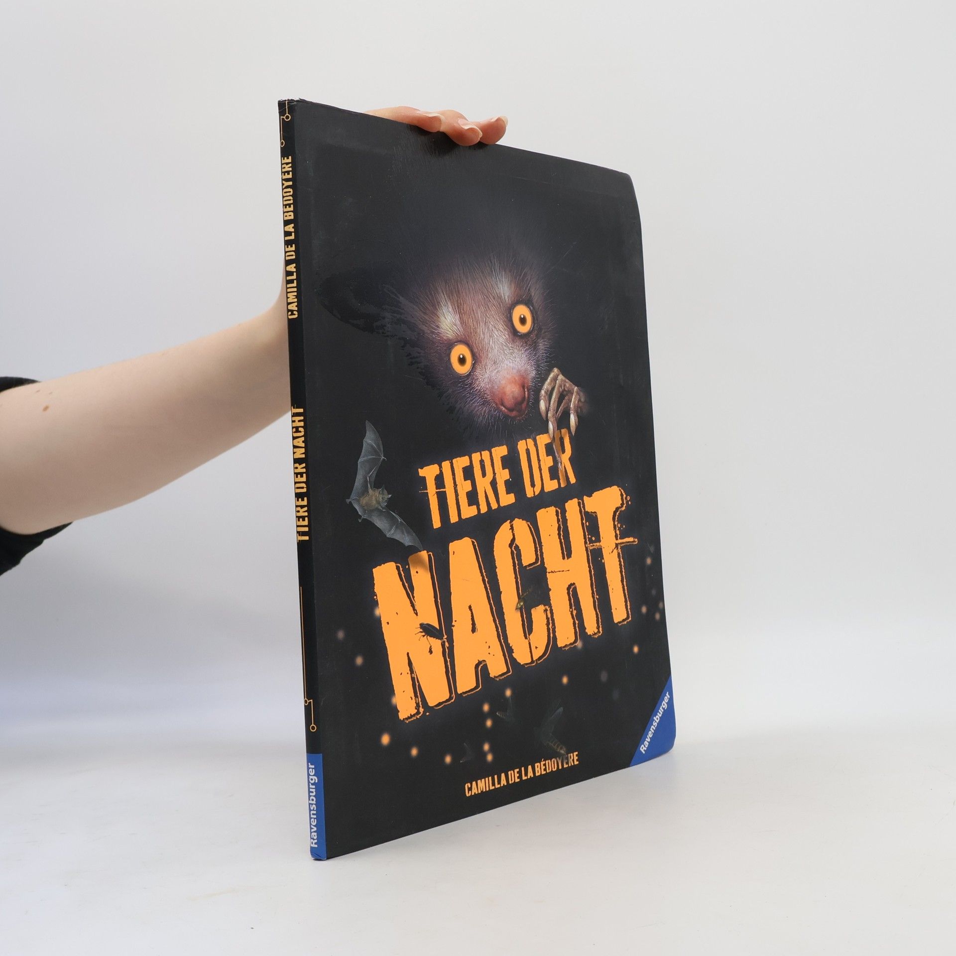 Tiere der Nacht