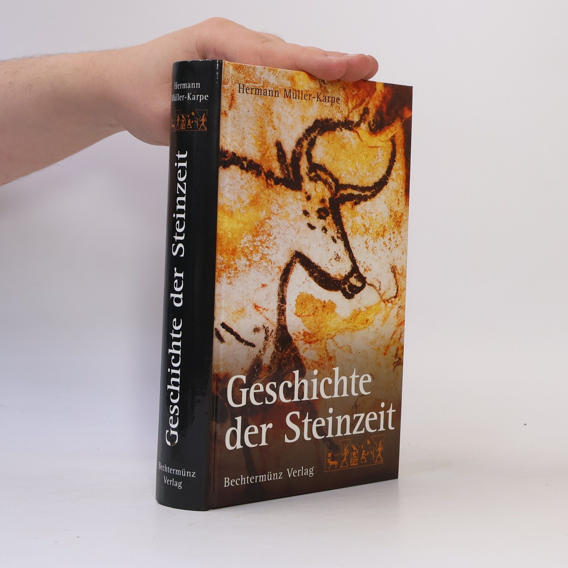 Hermann Müller-Karpe Geschichte der Steinzeit