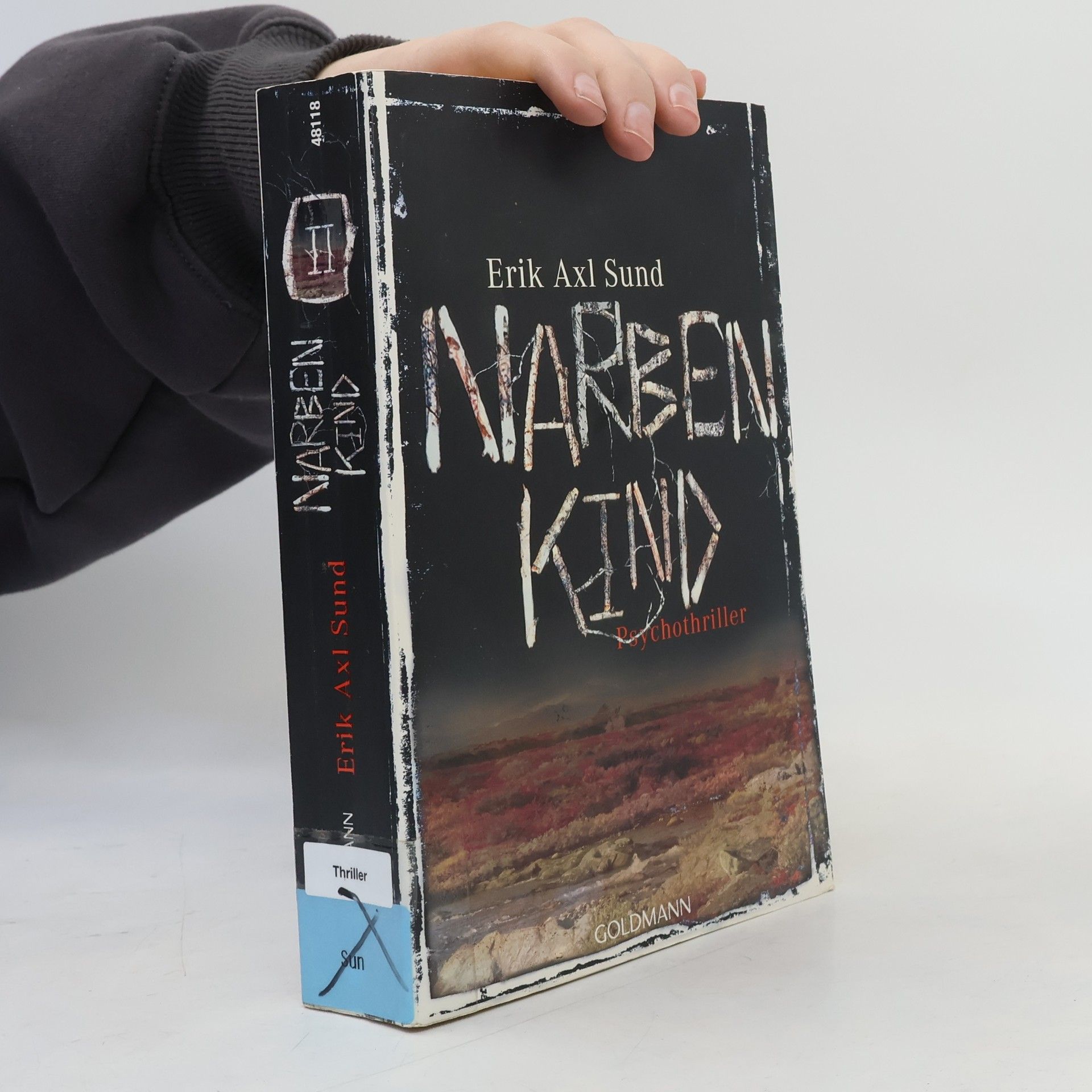 Erik Axl Sund Victoria-Bergman-Trilogie - 2: Narbenkind