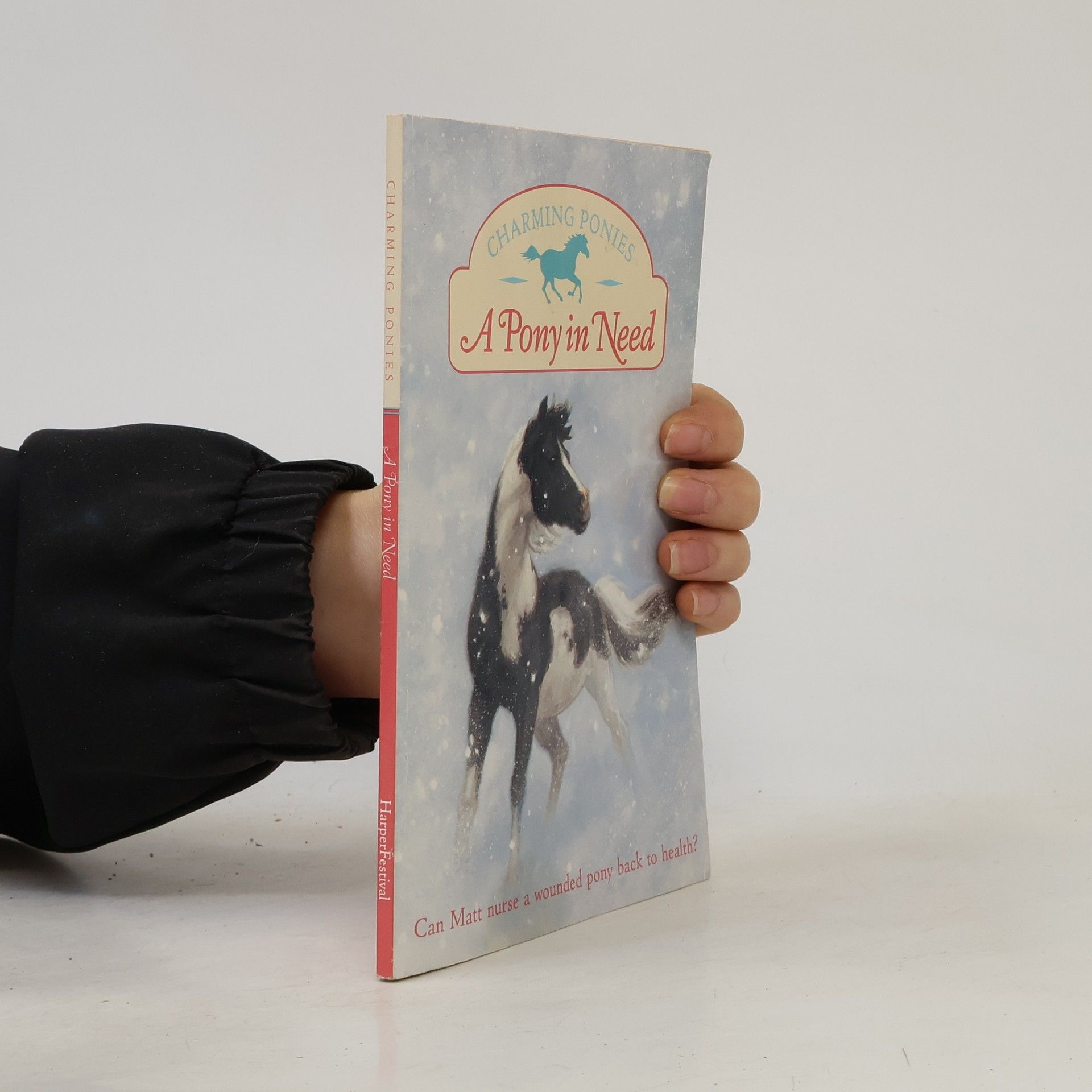 Lois K. Szymanski Charming Ponies: A Pony in Need