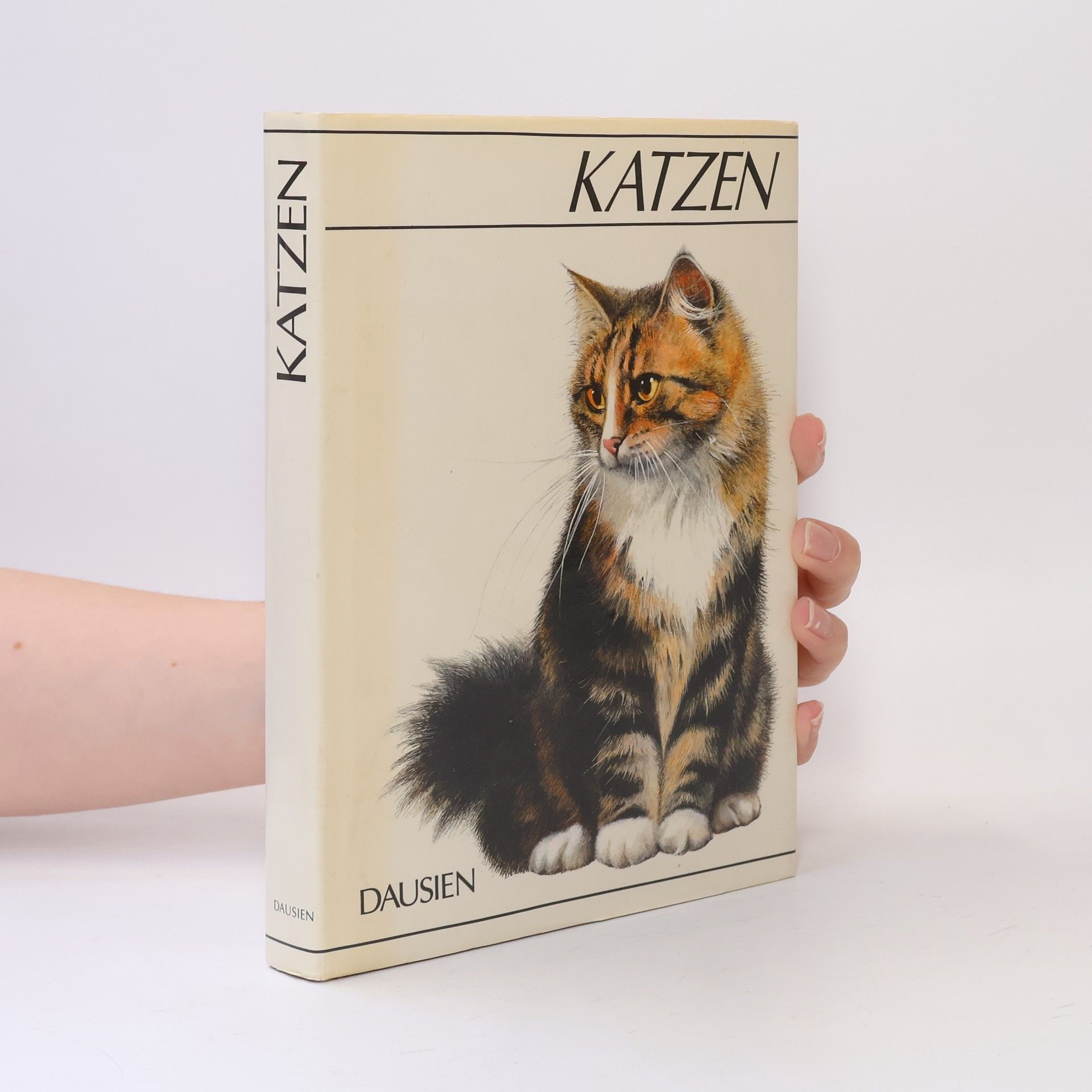 Albert Pintera Katzen