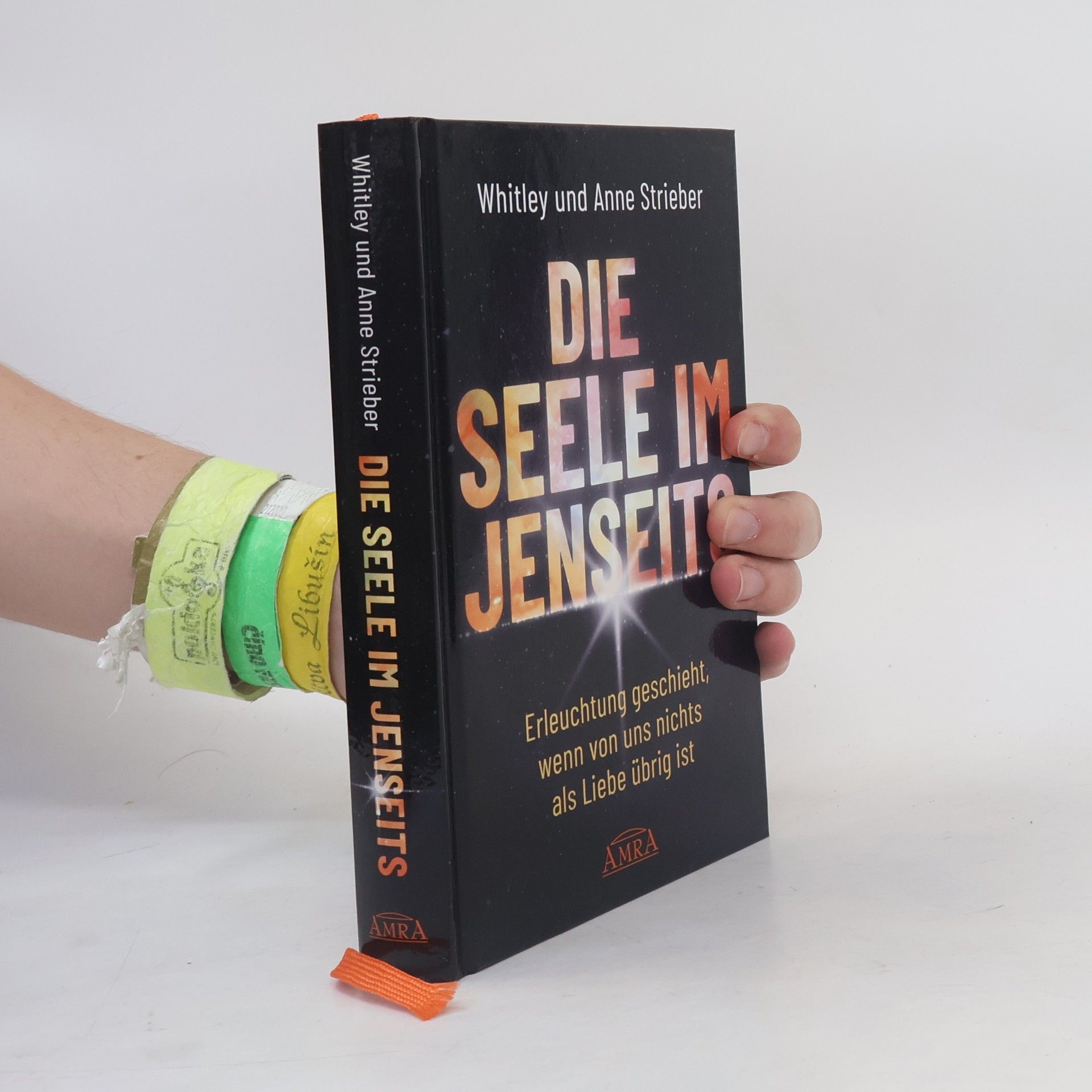 Whitley Strieber Die Seele im Jenseits