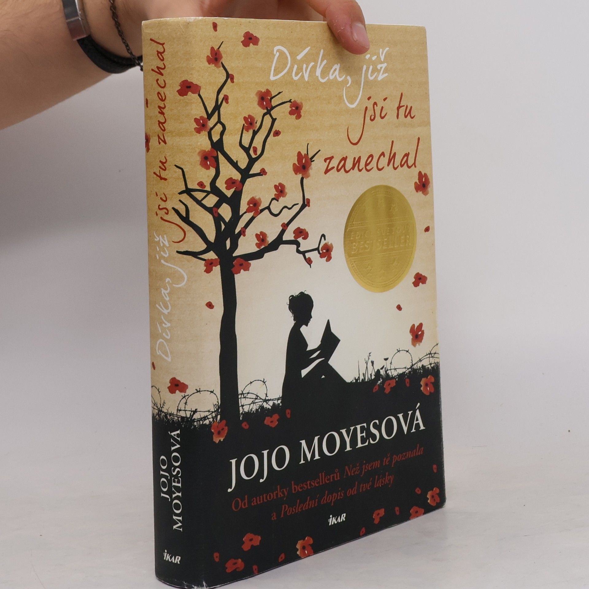 Lucie Mikolajková Dívka, již jsi tu zanechal