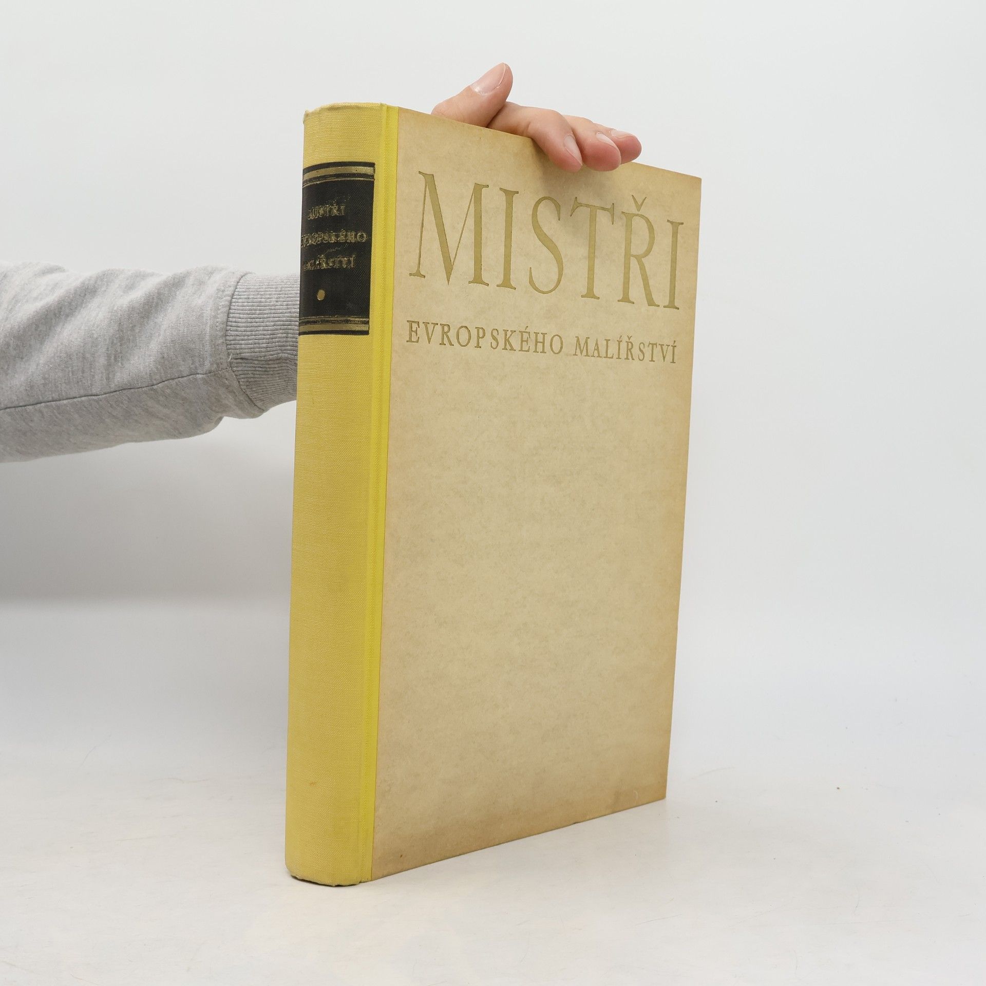 Gabriel Kufner Mistři evropského malířství