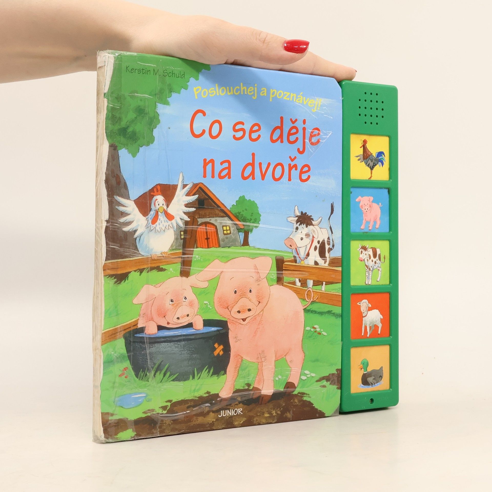 Co se děje na dvoře