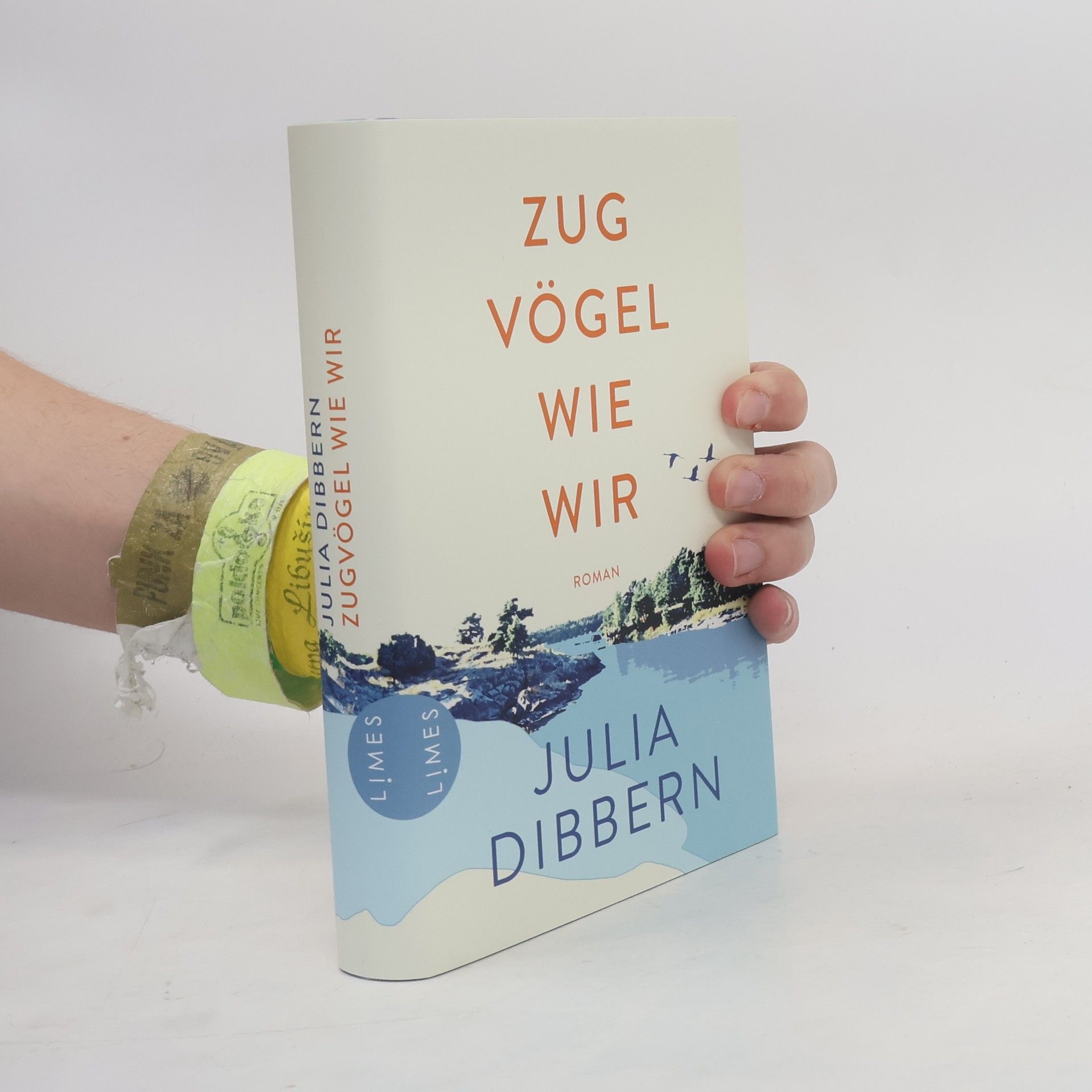 Julia Dibbern Zugvögel wie wir
