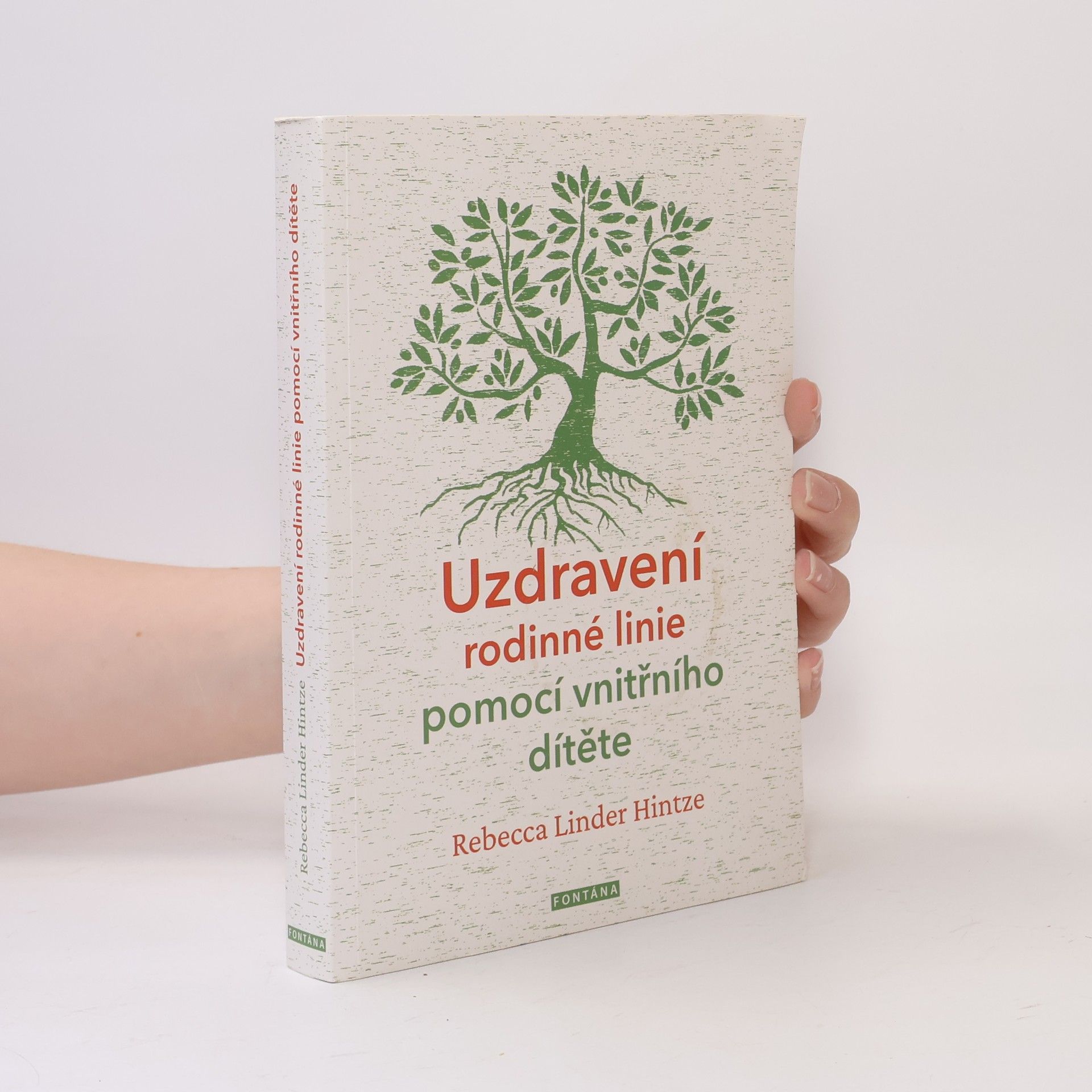 Uzdravení rodinné linie pomocí vnitřního dítěte : 5 kroků k překonání destruktivních rodinných vzorců