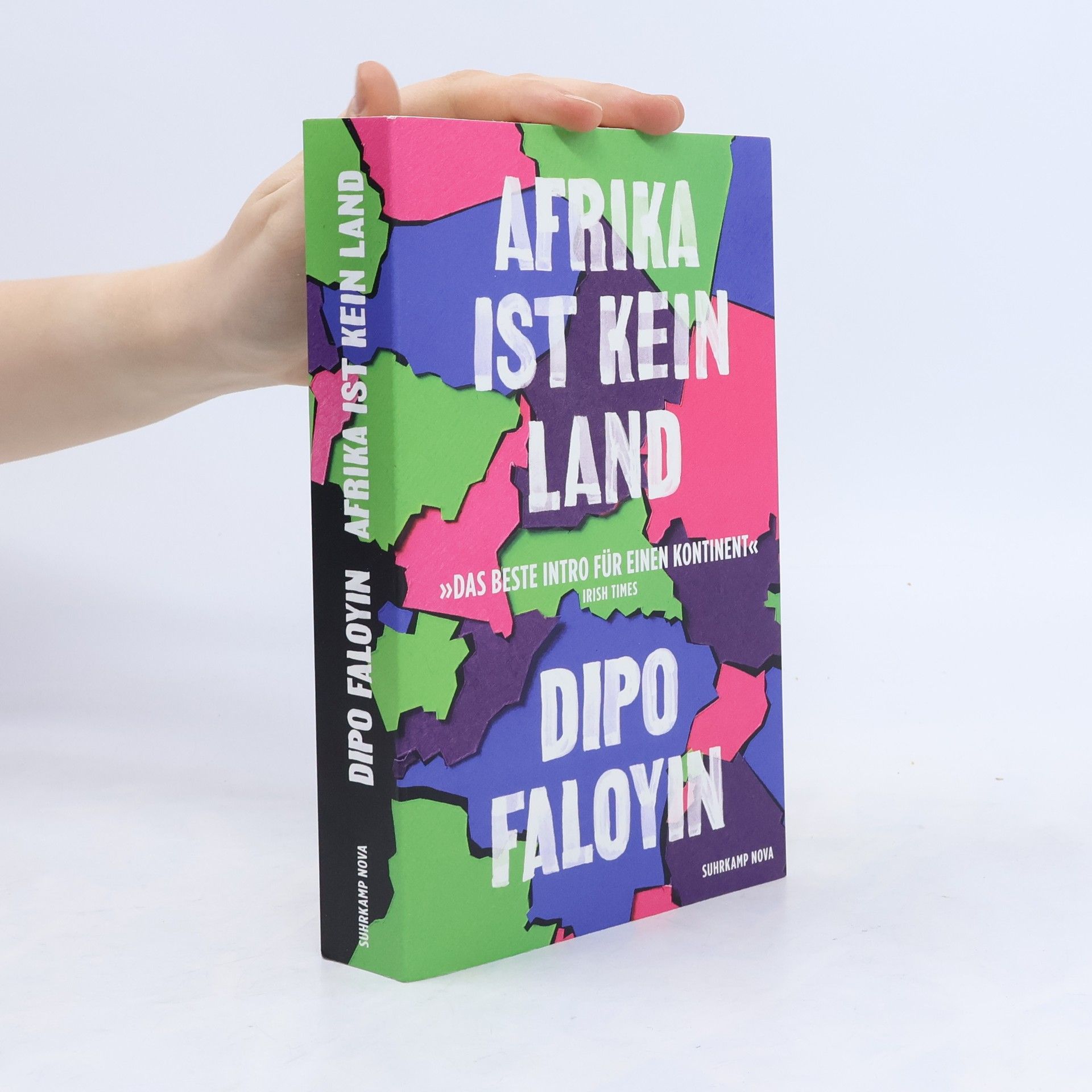 Dipo Faloyin Afrika ist kein Land