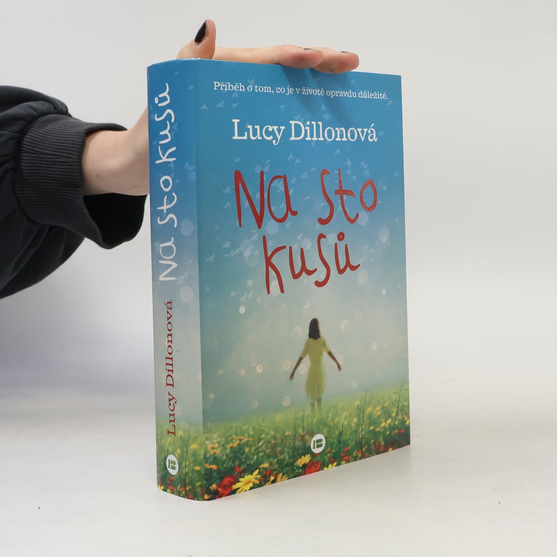 Lucy Dillon Na sto kusů