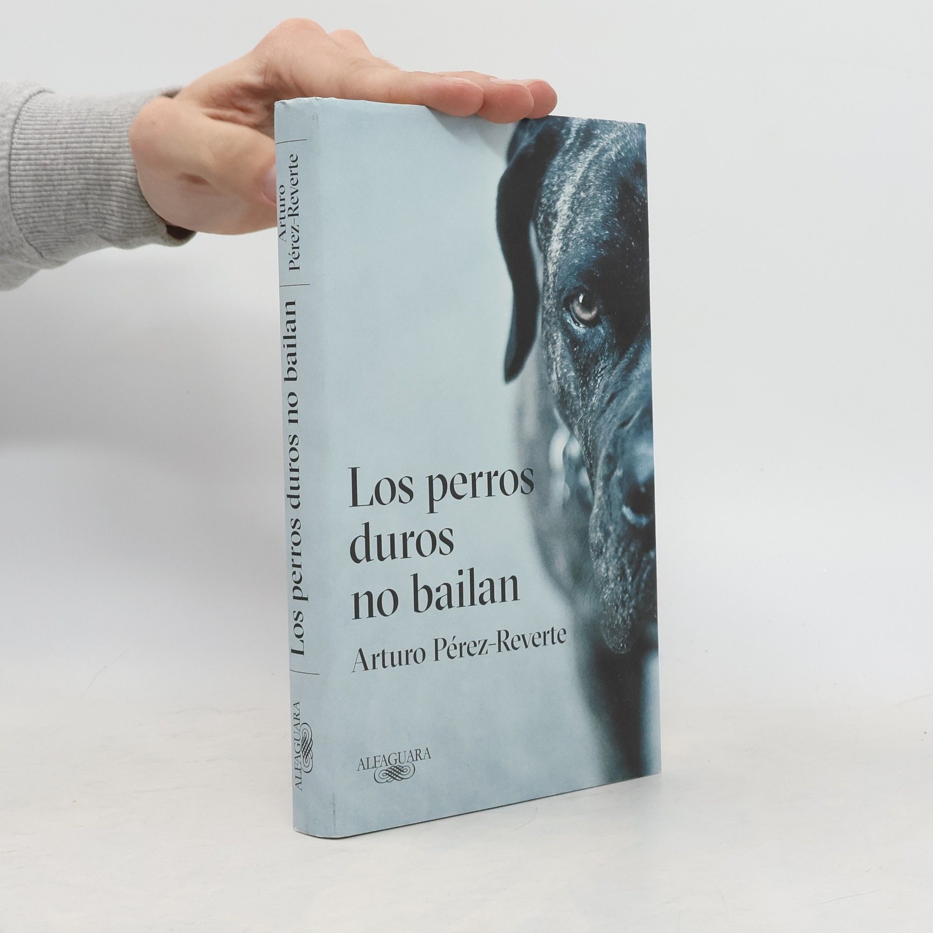 Los perros duros no bailan
