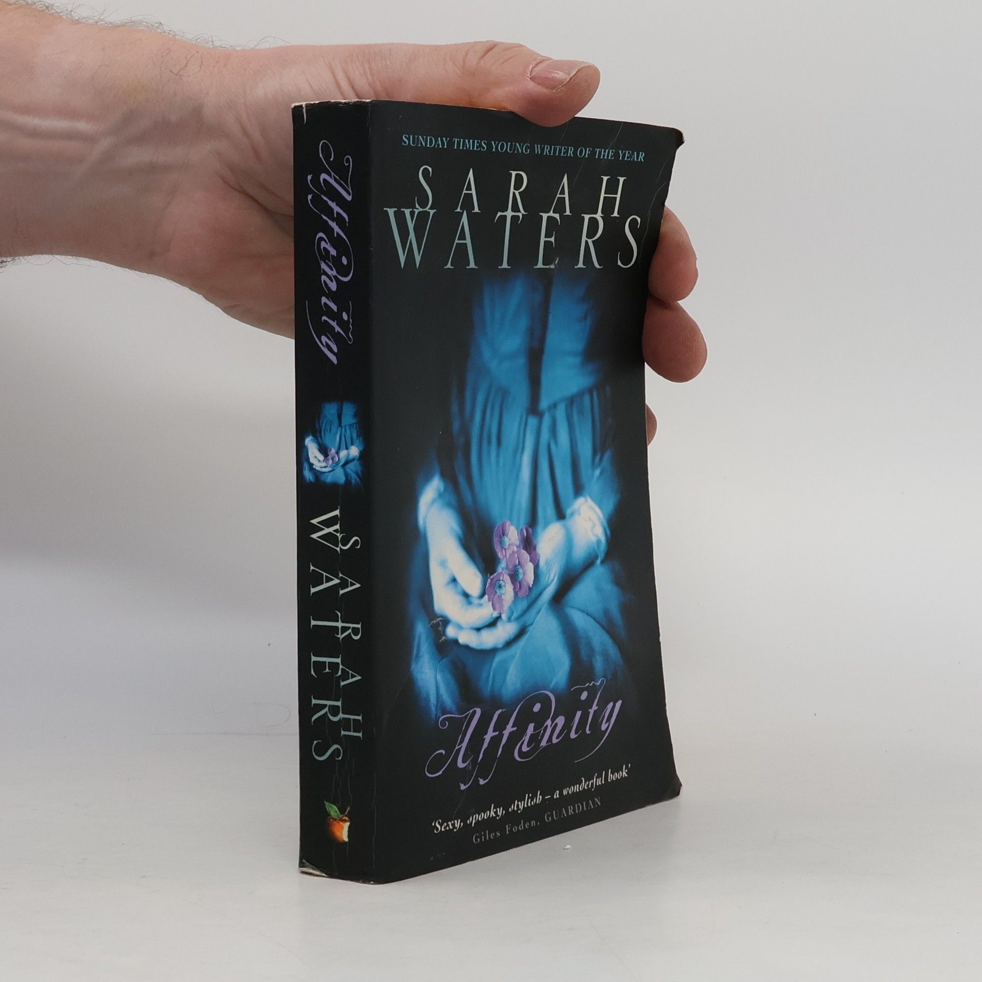 Sarah Waters Affinity
