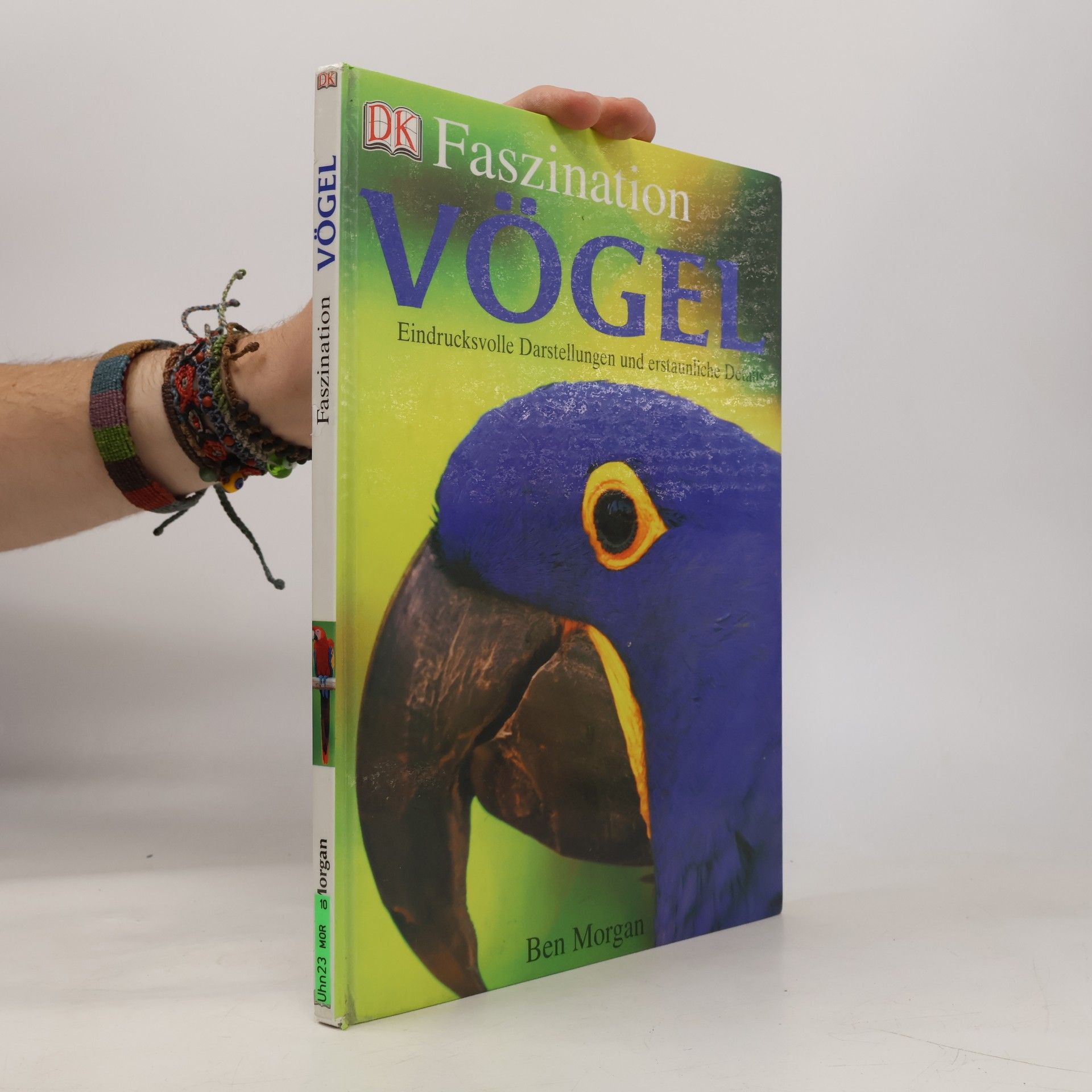 Faszination Vögel