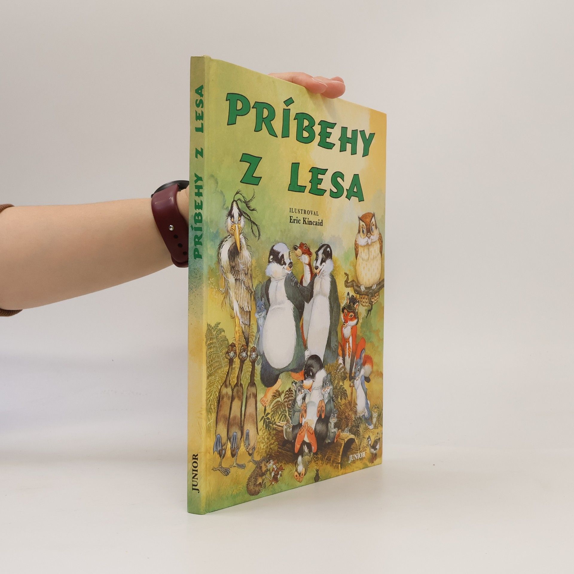 Lucy Kincaid Príbehy z lesa