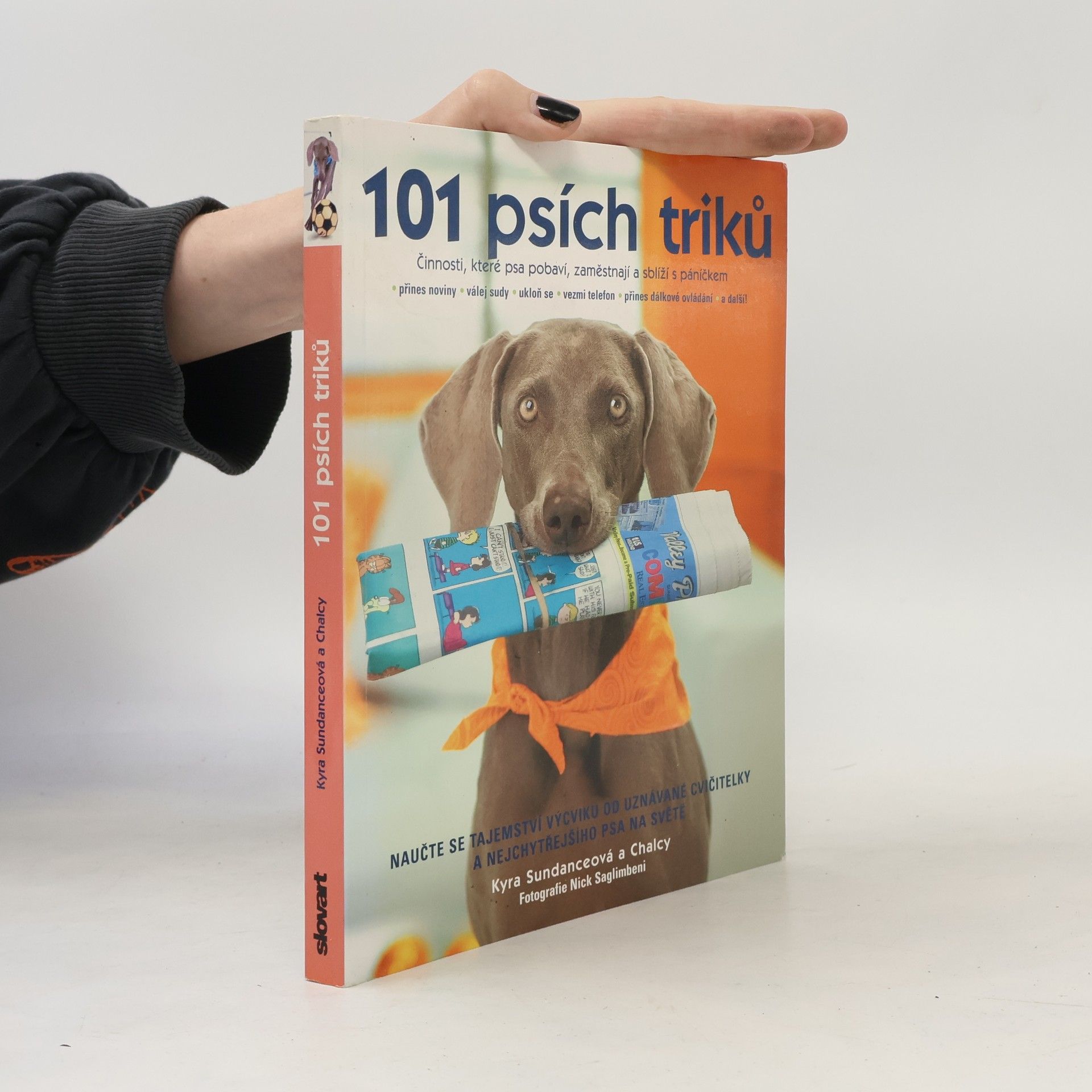 Kyra Sundance 101 psích triků : činnosti, které psa pobaví, zaměstnají a sblíží s páníčkem - krok za krokem