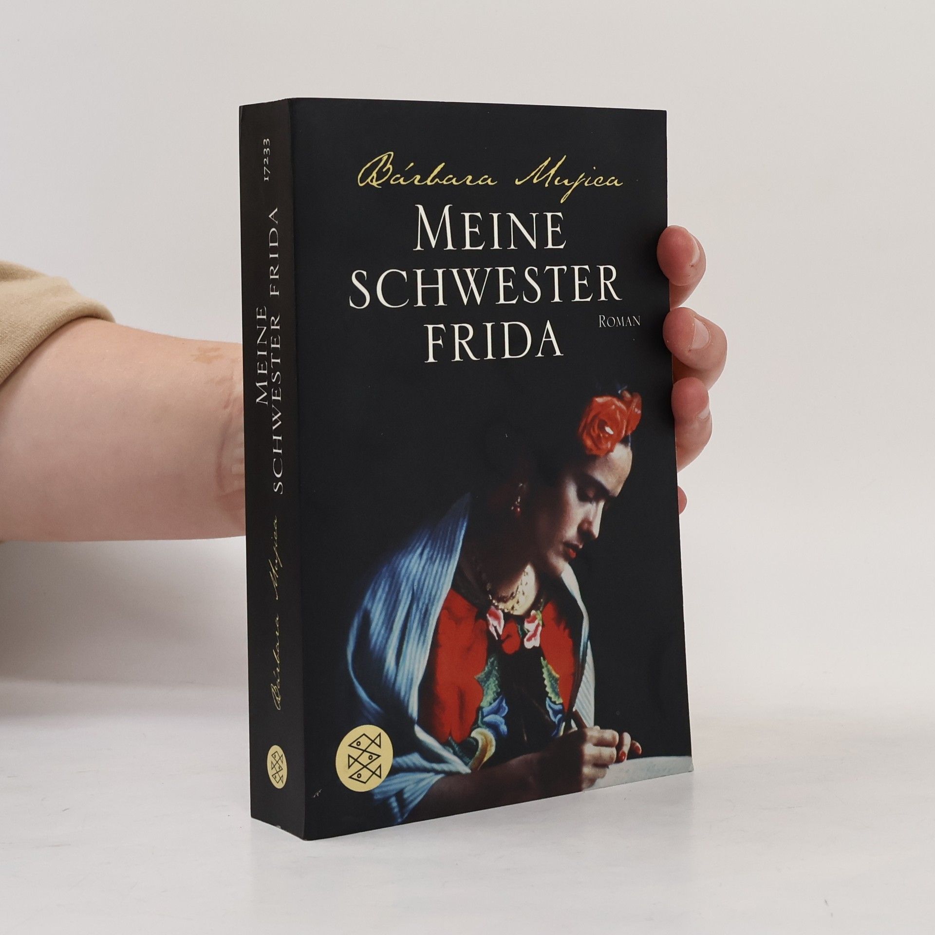 Barbara Mujica Meine Schwester Frida