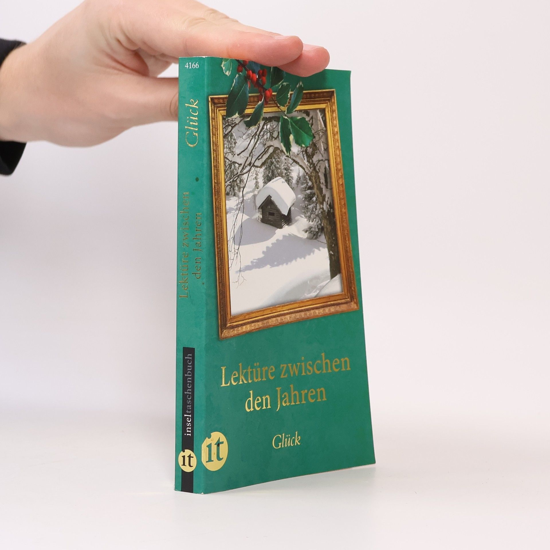 Collectif d'auteurs Lektüre zwischen den Jahren