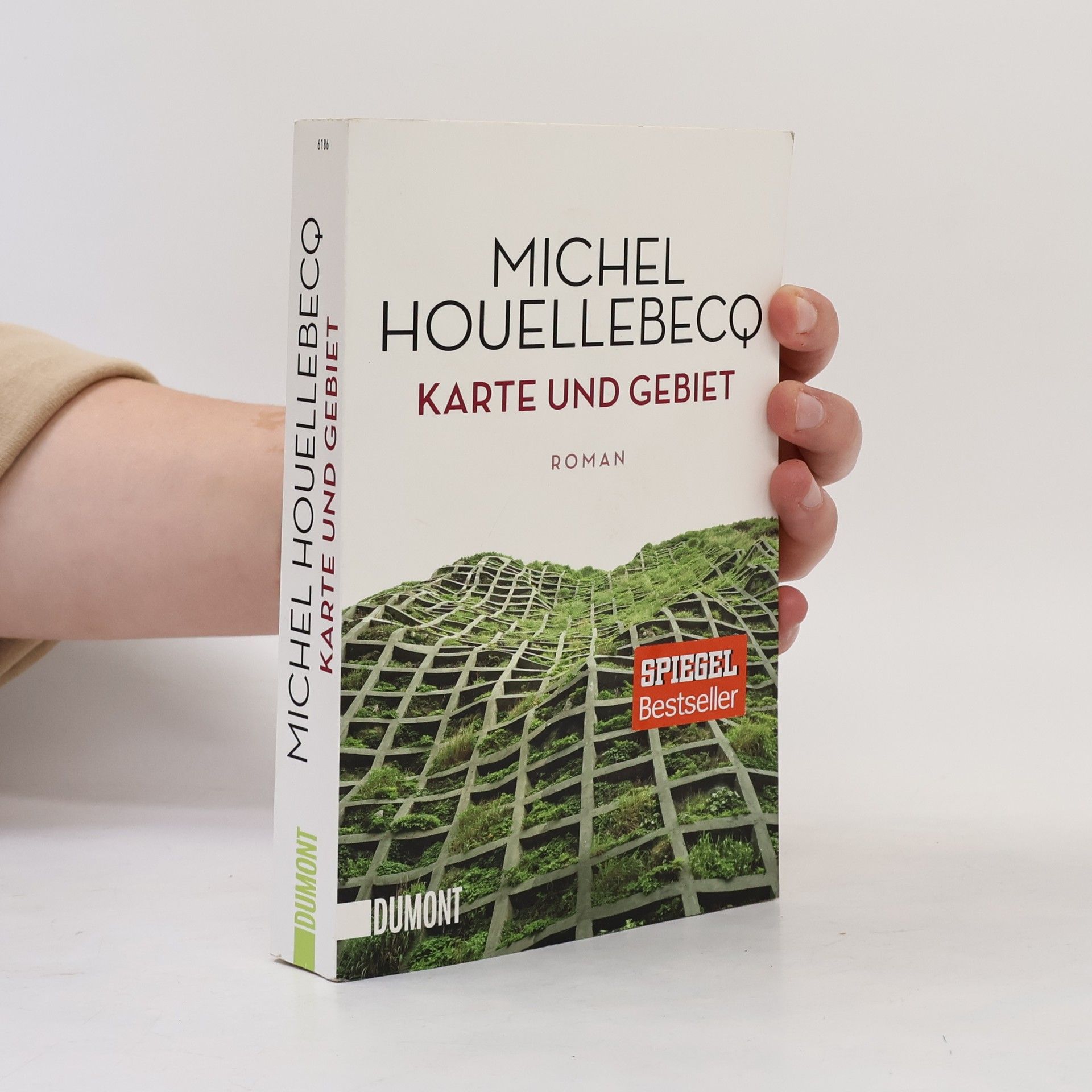 Michel Houellebecq Karte und Gebiet