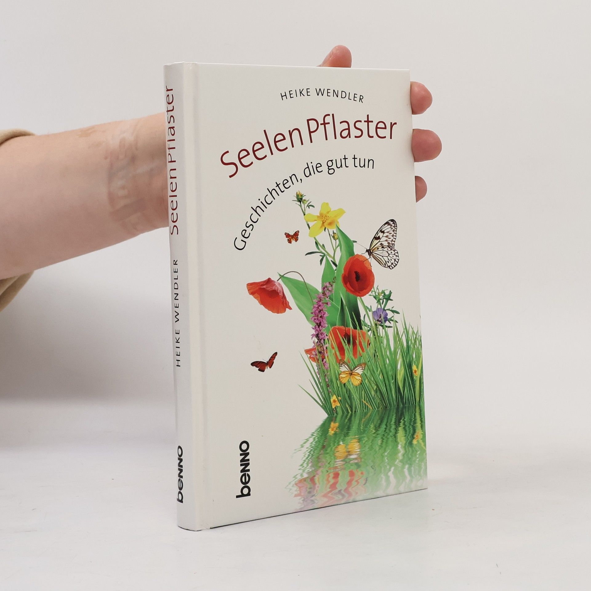 Heike Wendler SeelenPflaster