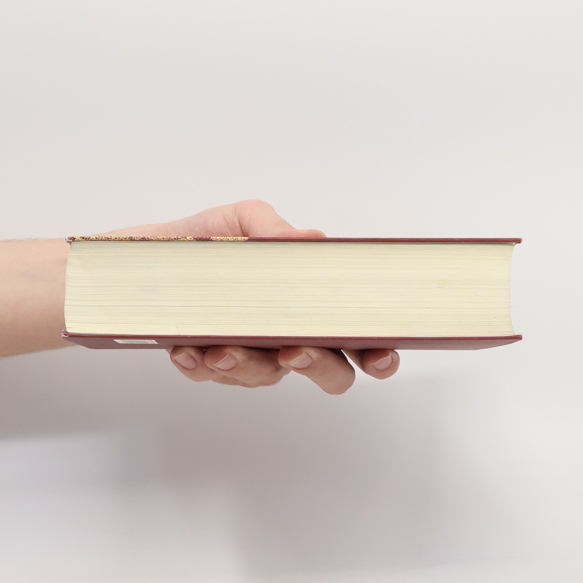 Kolektiv autorů Die Bibel