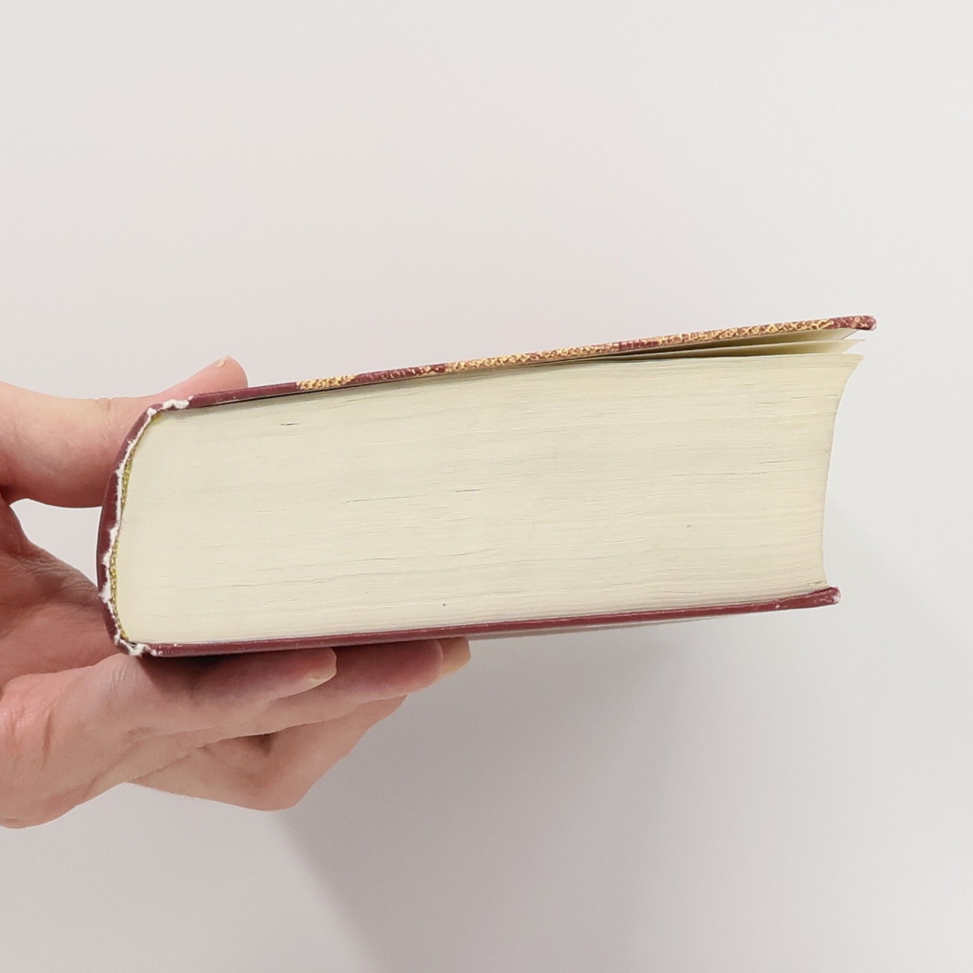 Kolektiv autorů Die Bibel
