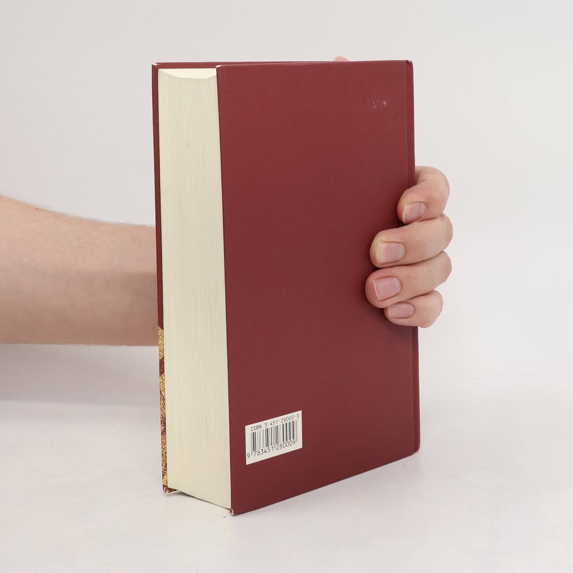 Kolektiv autorů Die Bibel