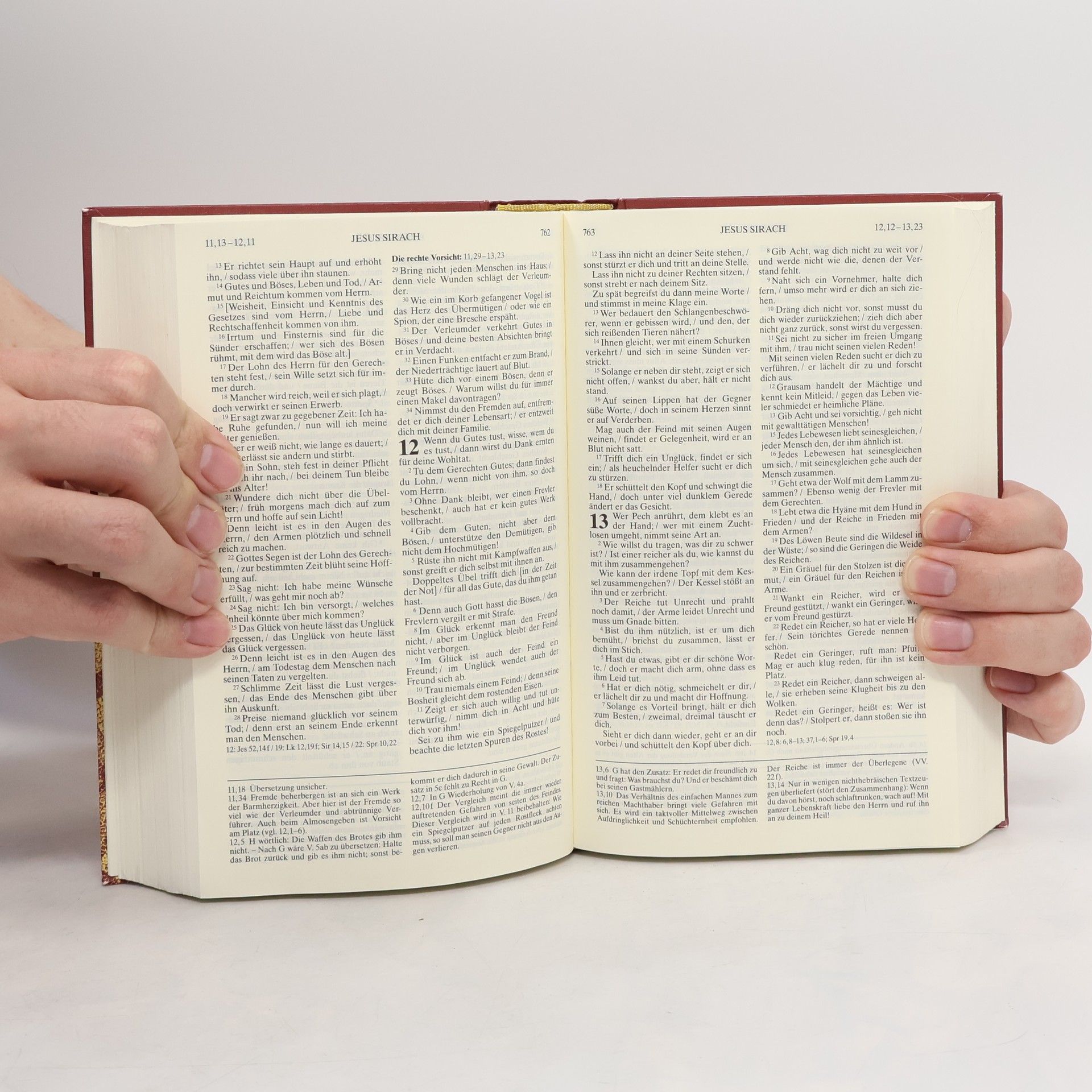 Kolektiv autorů Die Bibel