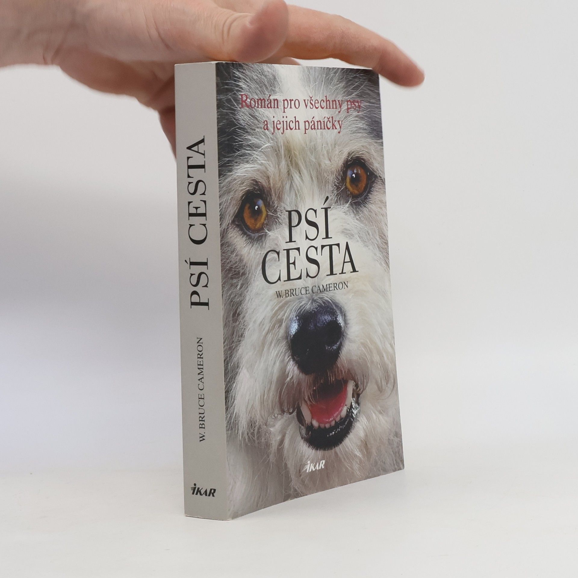 W. Bruce Cameron Psí cesta