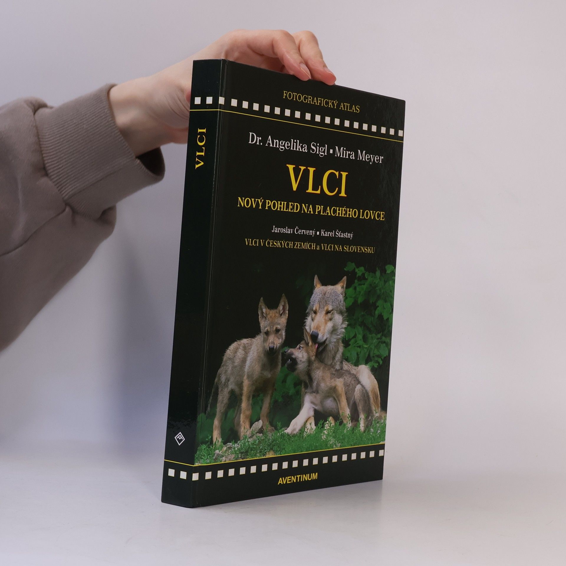 Vlci